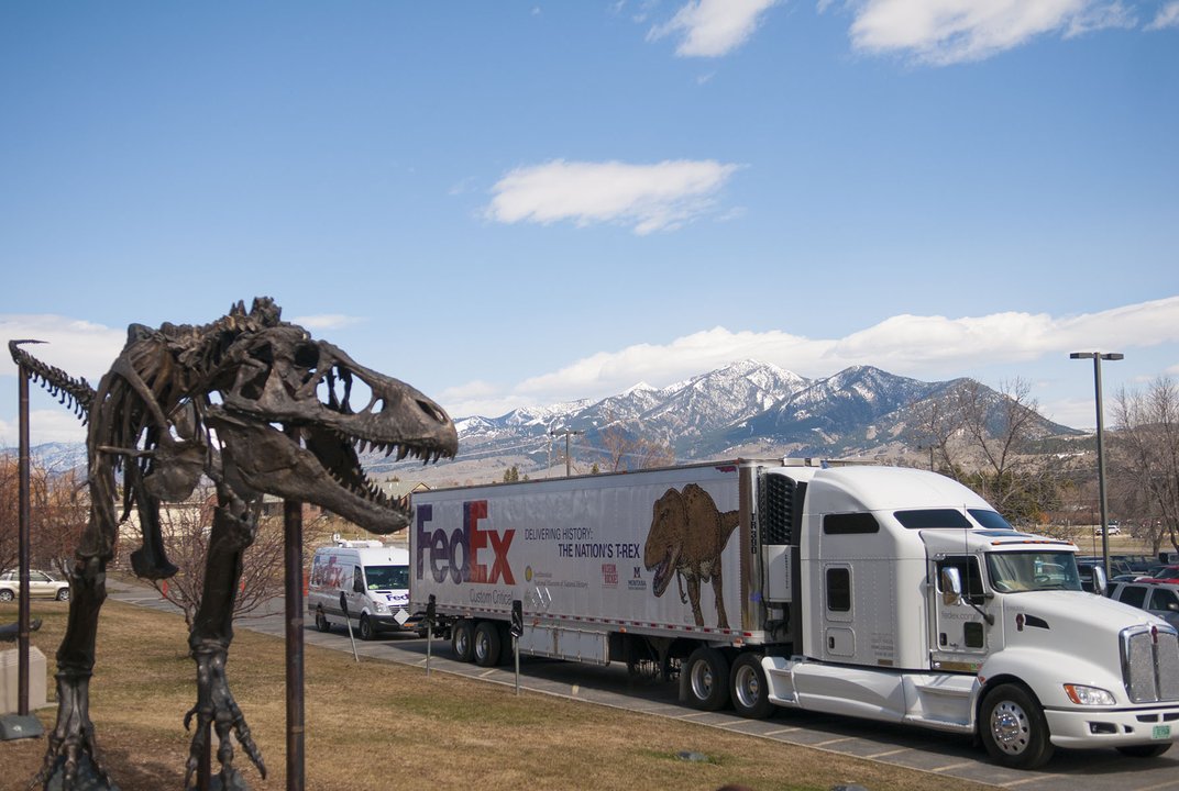 Washington Post - T. rex fossils arrive at Smithsonian’s National Museum of Natural History