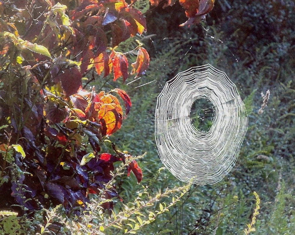 Samhain: At the fulcrum of a world