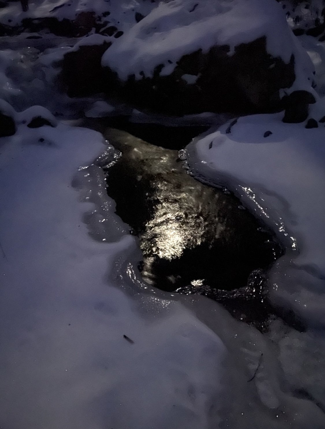 CONNECTING WITH THE SPIRITS OF THE LAND
