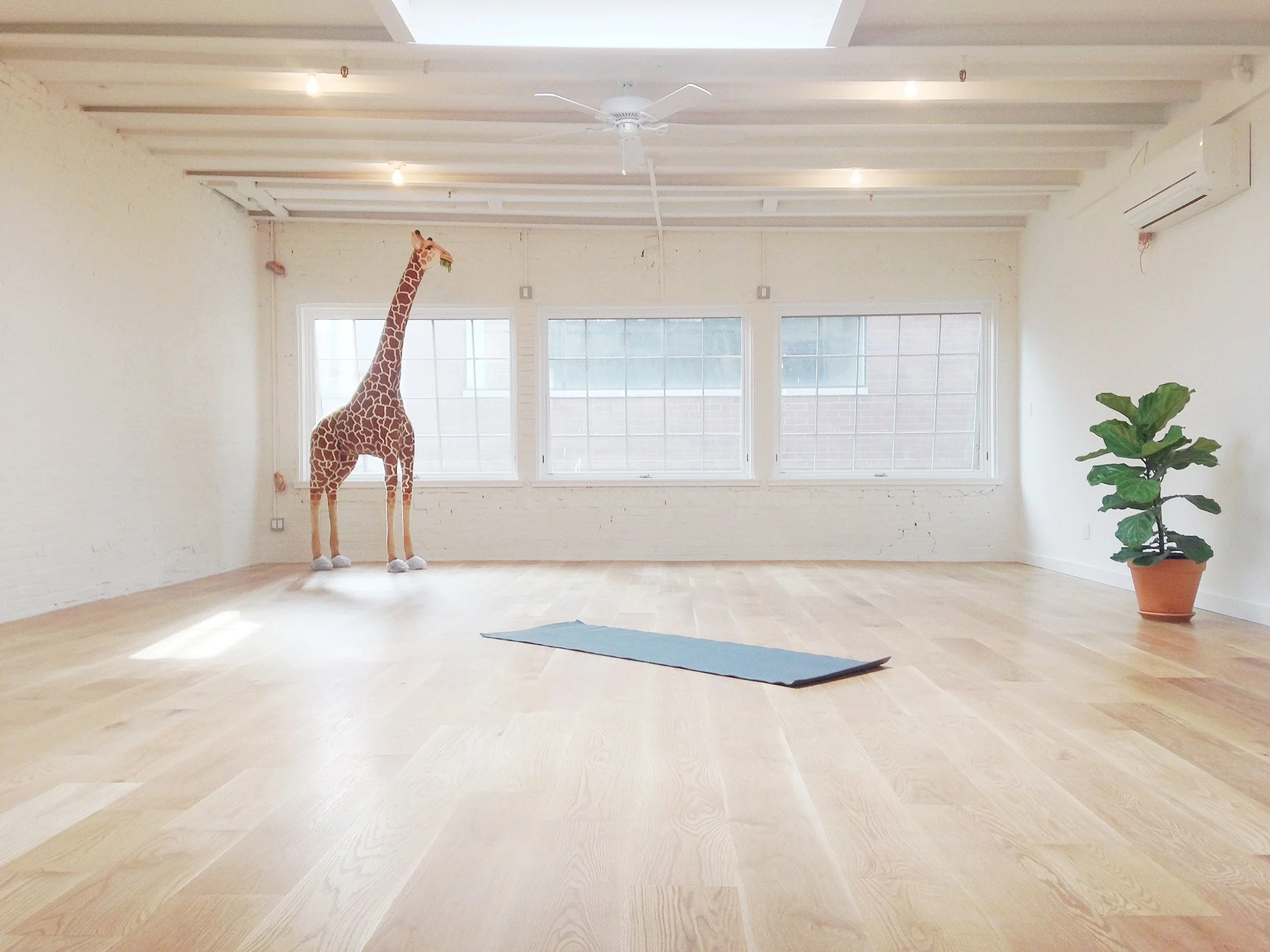 02-krissy-jones-skyting-yoga.jpg
