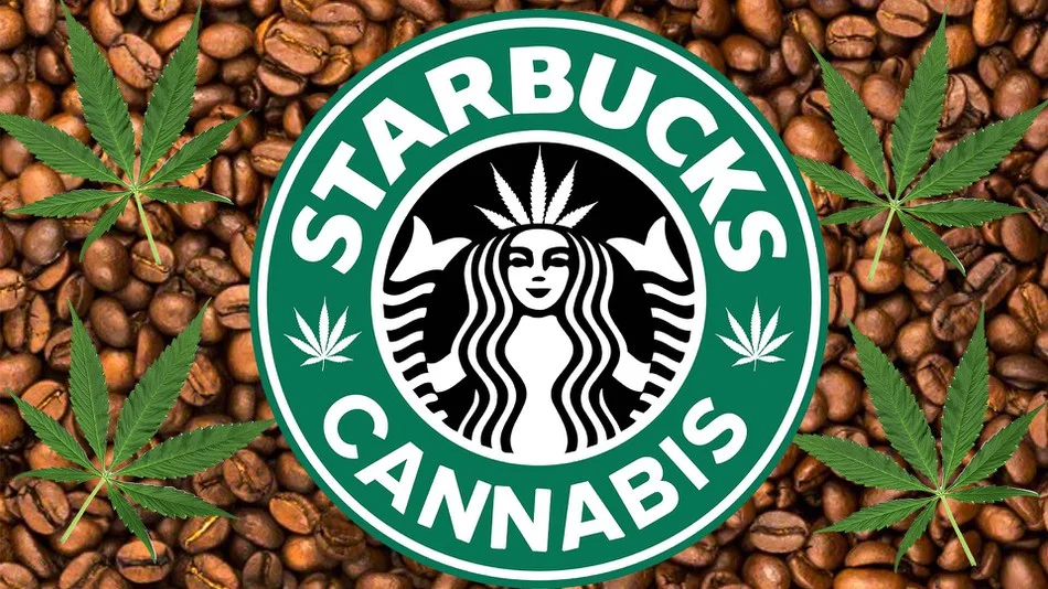 Let’s be honest, as shameful as it is to admit, the idea of a marijuana Starbucks is pretty cool.