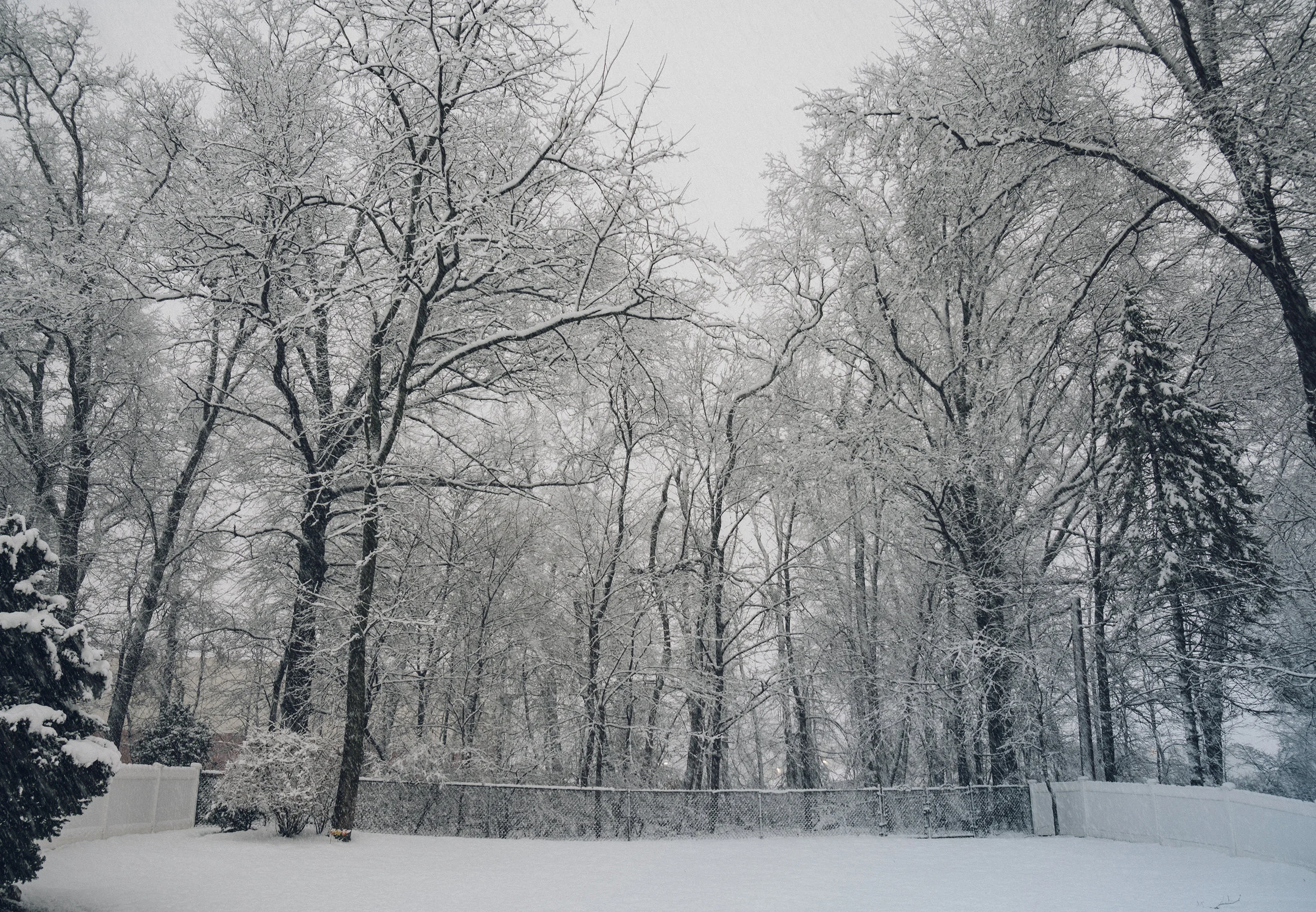glenrocksnowday6.jpg