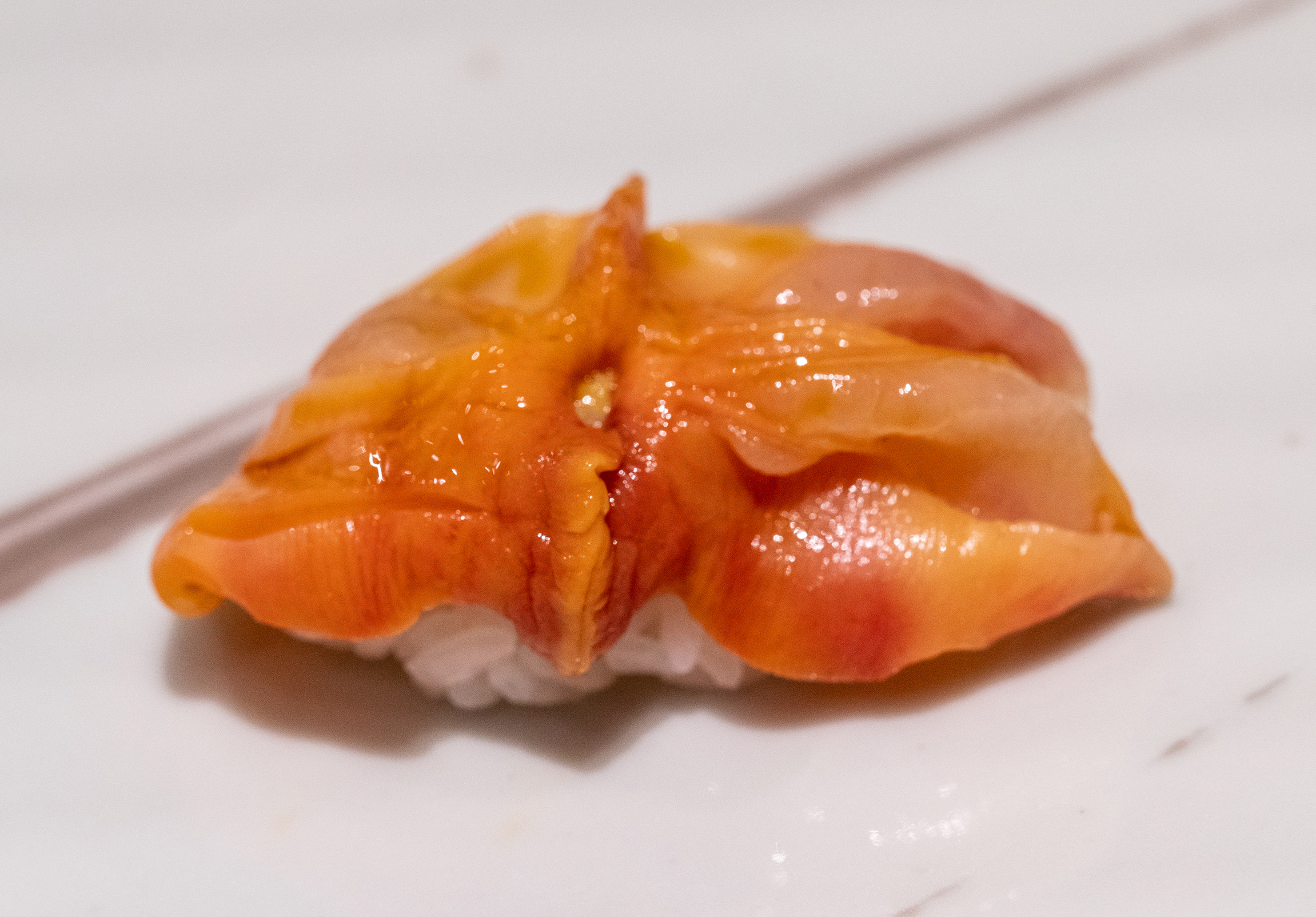 DSC01559-2.jpg