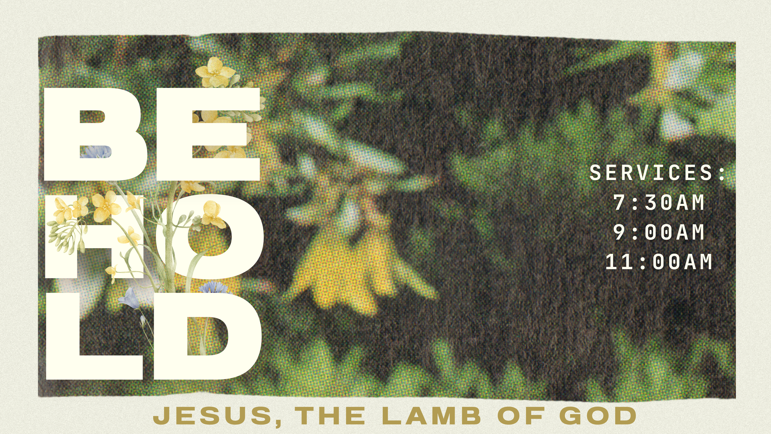 Easter Behold landing.png