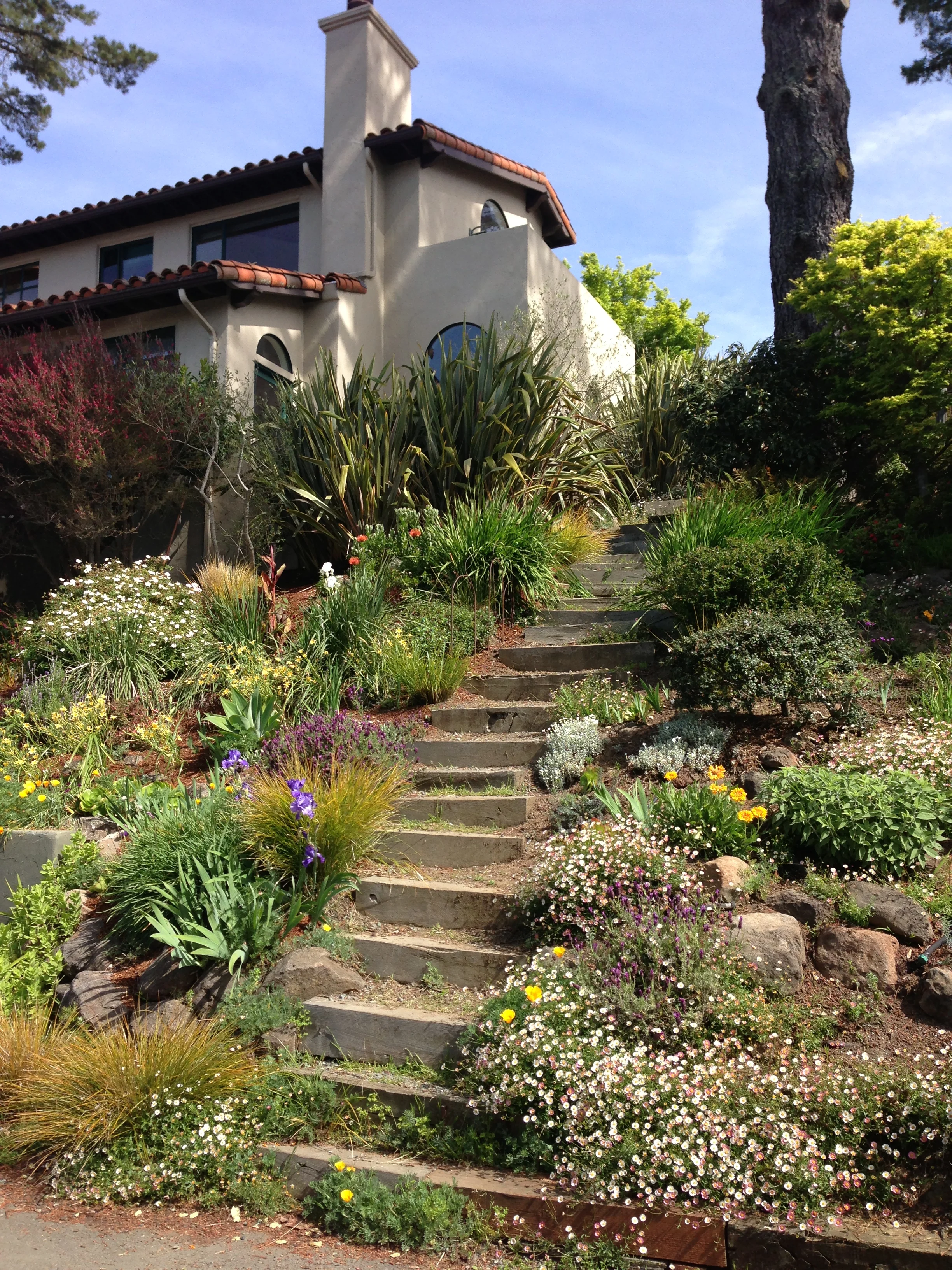 Stoddard Path