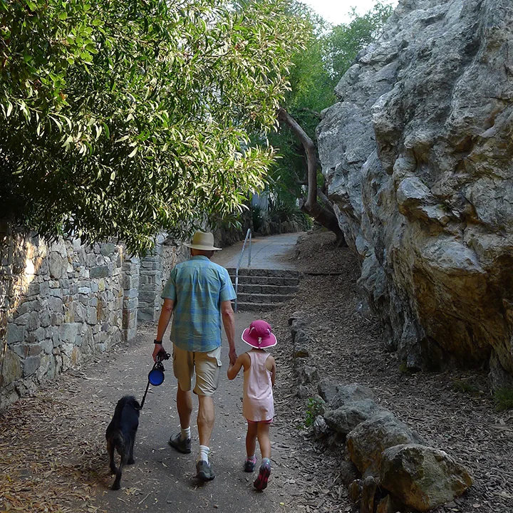 Tamalpais Path