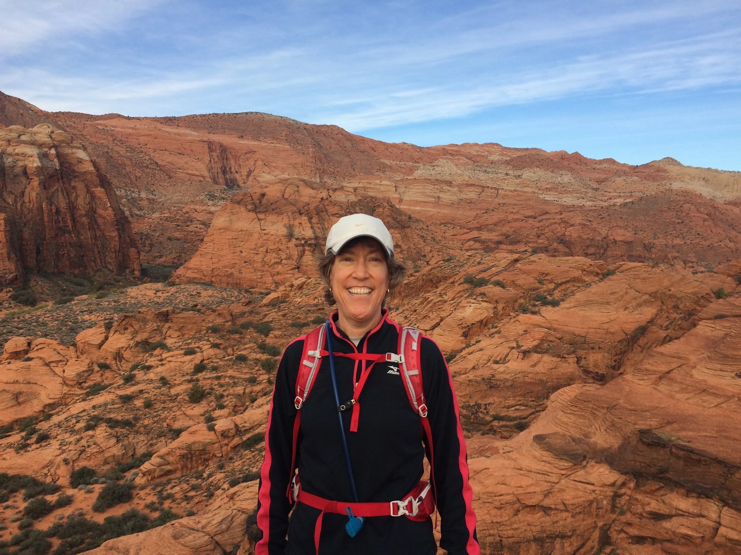 Sharon Taylor Joins the BPWA Board: “A Perfect Fit!”