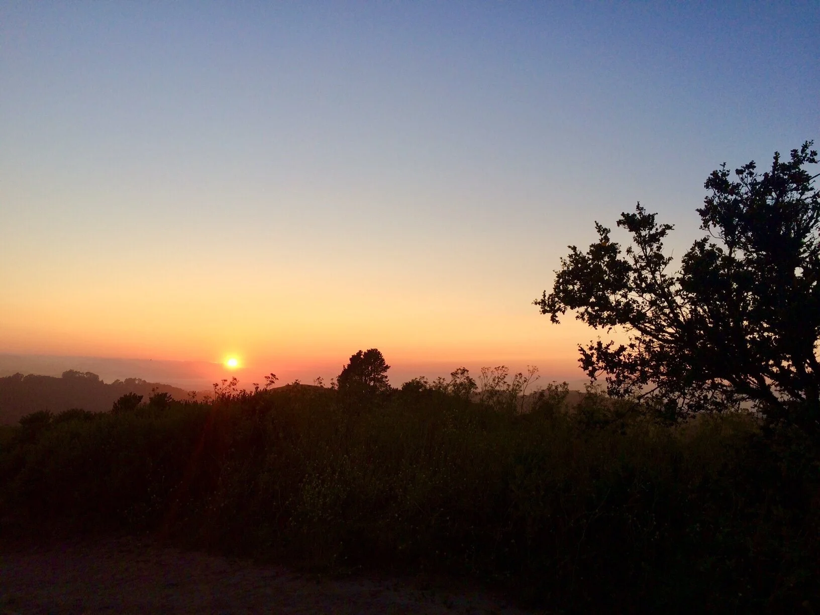 Sunset Hike to Wildcat Peak in Tilden Park