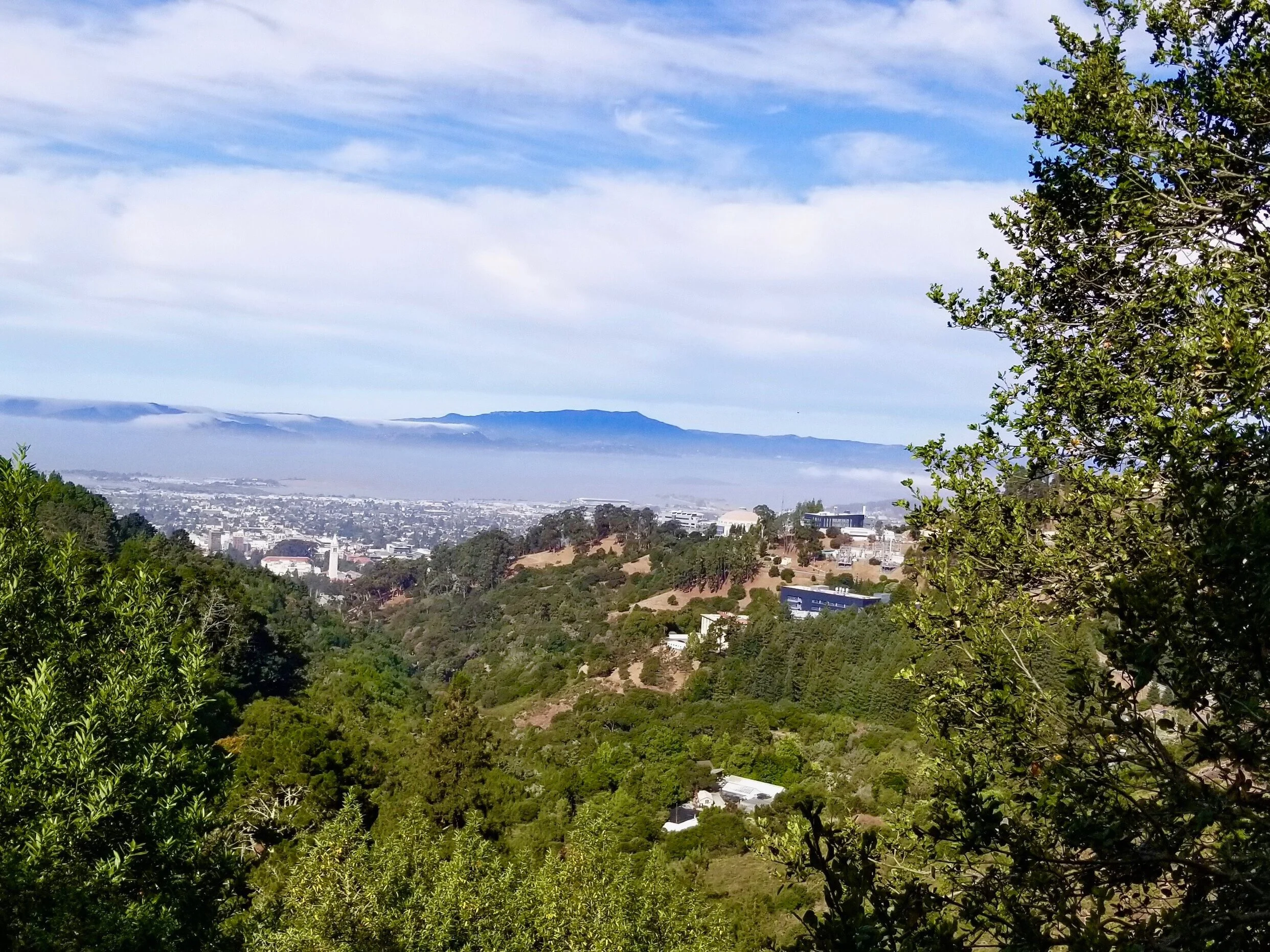 The Trails of Claremont Canyon: Take a Walk on the Wild(er) Side