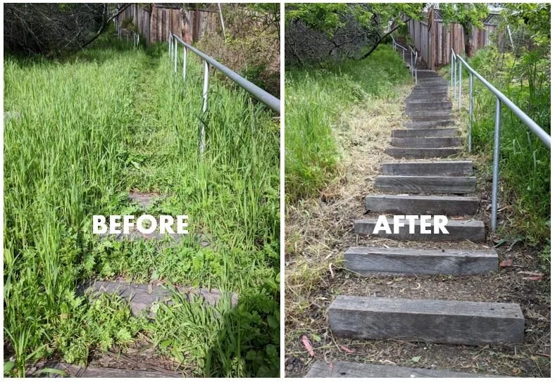 Path Maintenance Work Party