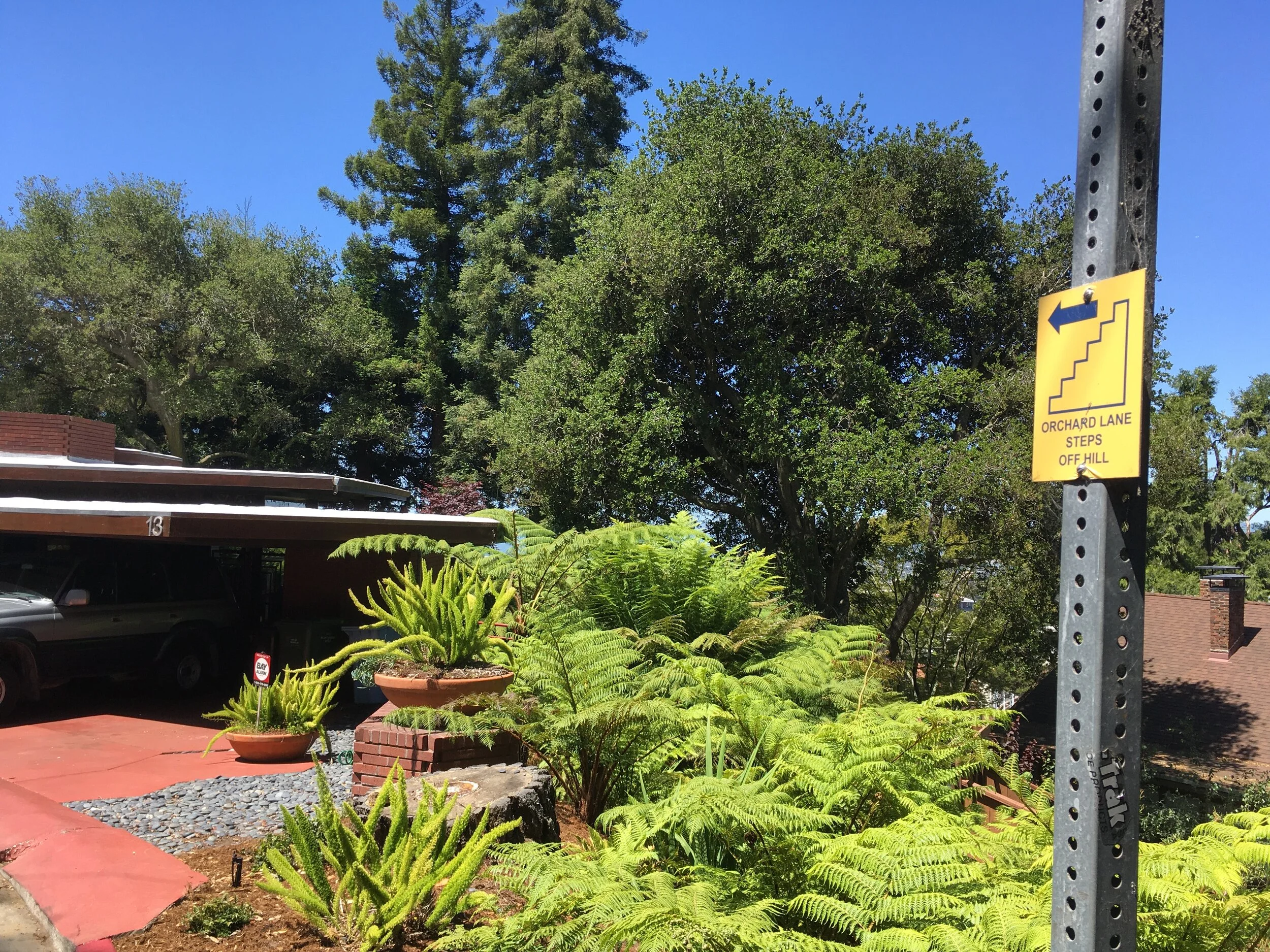   Virtual Panoramic Hill Tour