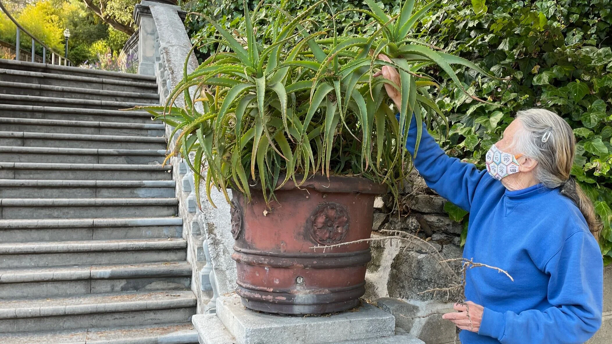 Path Pal Barbara Robben: Paths runner, booster, and volunteer