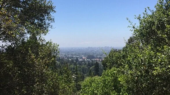 North Berkeley Parks