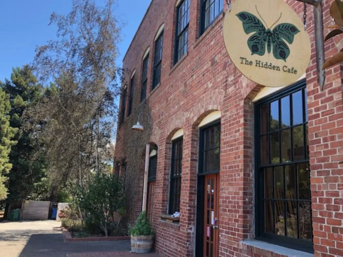 Slow Walk around Strawberry Creek Park - Again