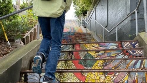 San Francisco’s 16th Avenue Tiled Steps