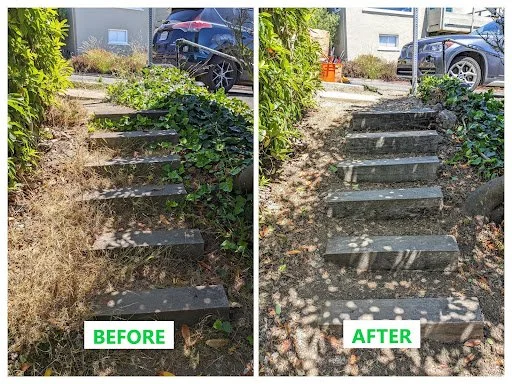 Weekend Path Maintenance Work Party