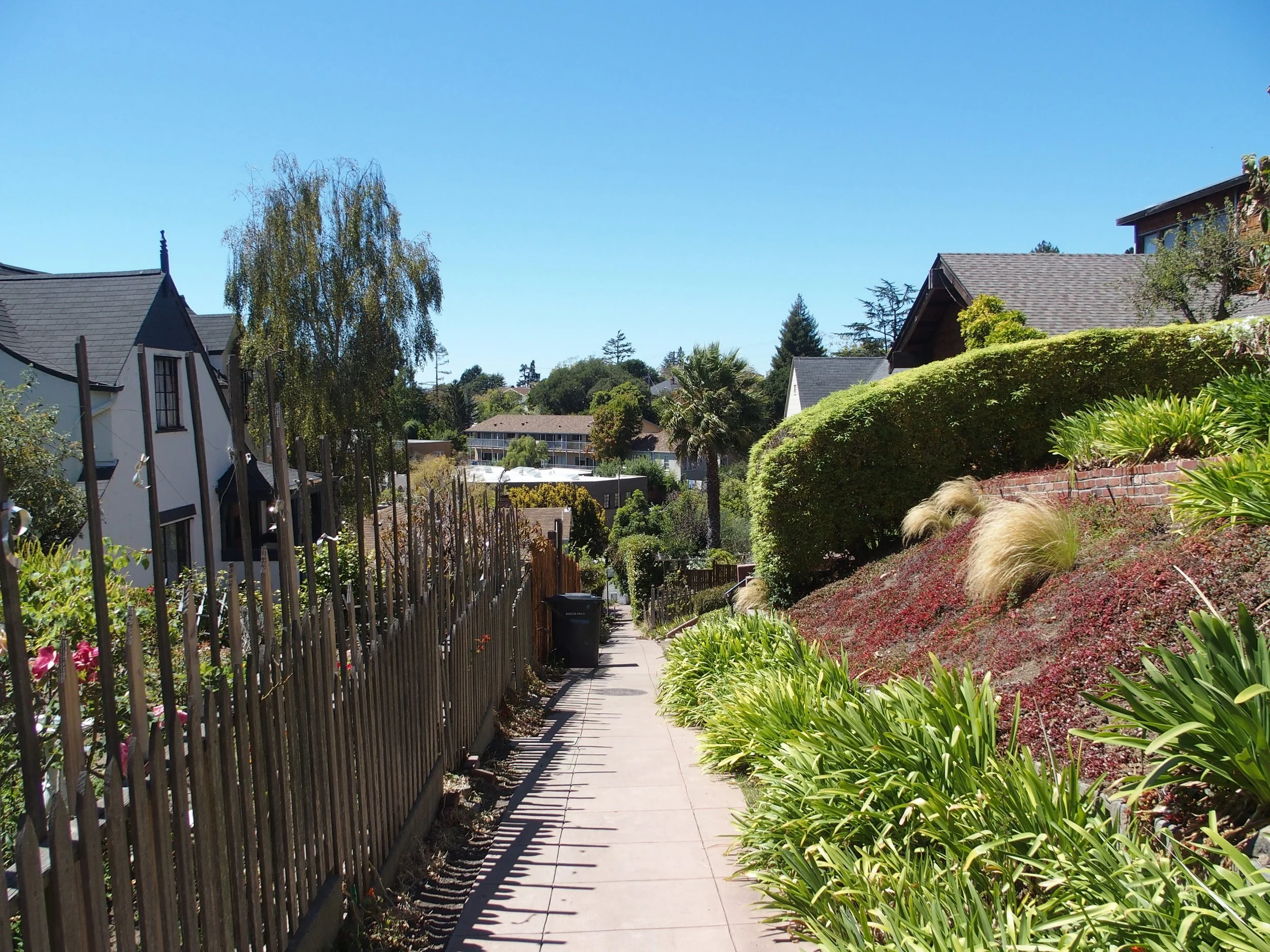 Upper Shattuck / Marin Circle Walk