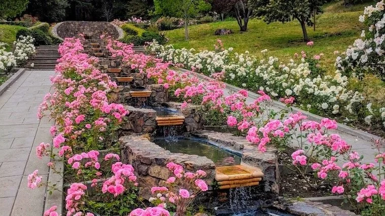 Sunset Hike to the Oakland Rose Garden
