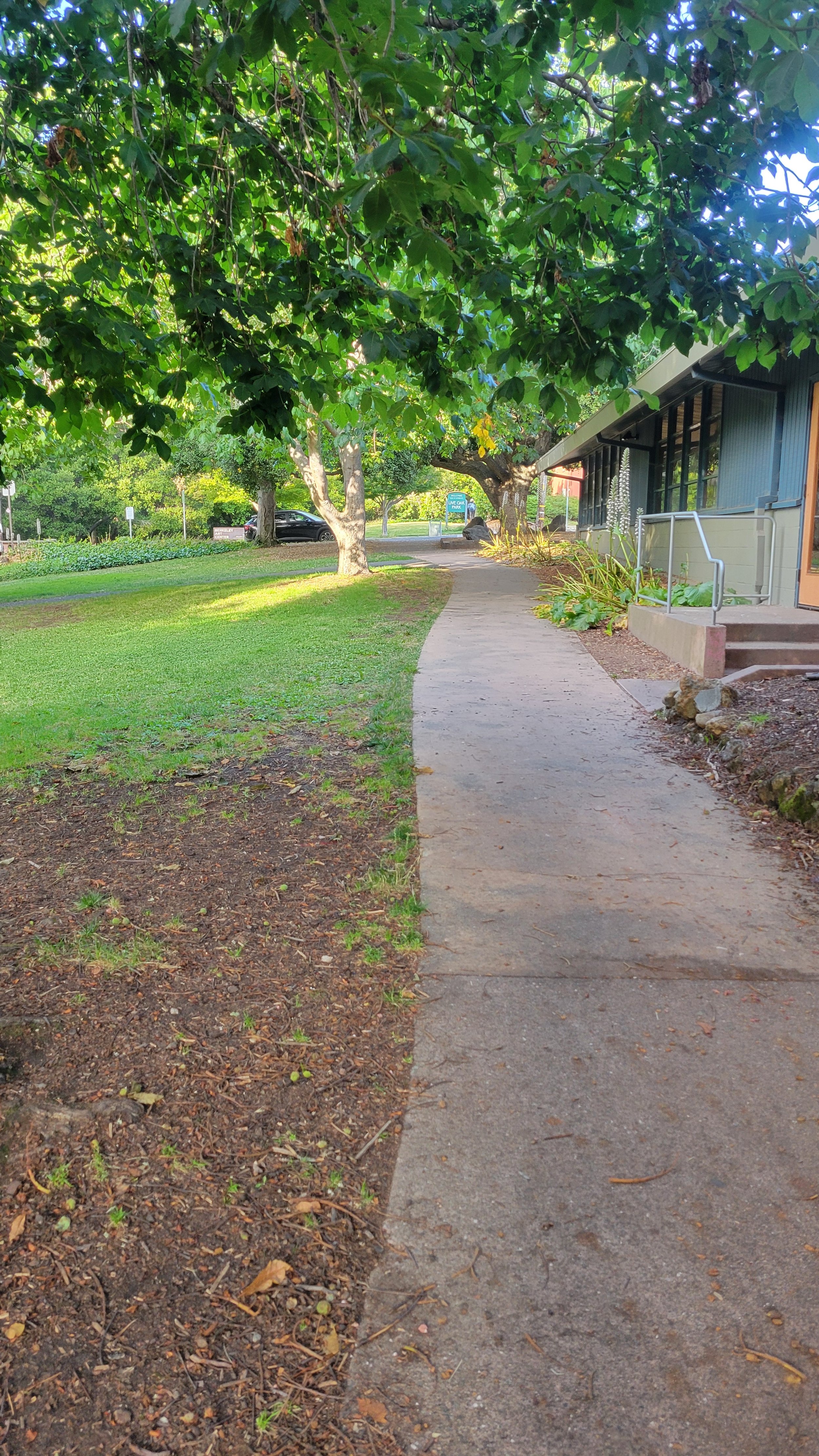 20250702_185652.jpg