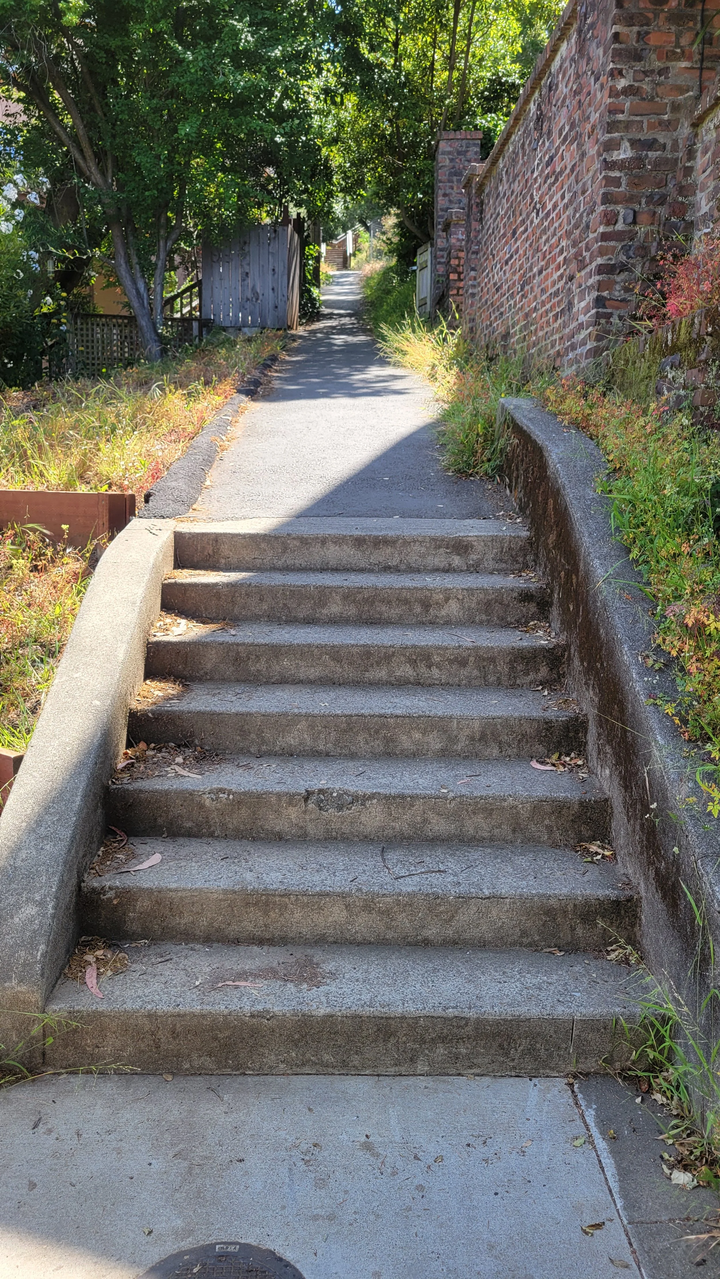 Arden Path 2.jpg