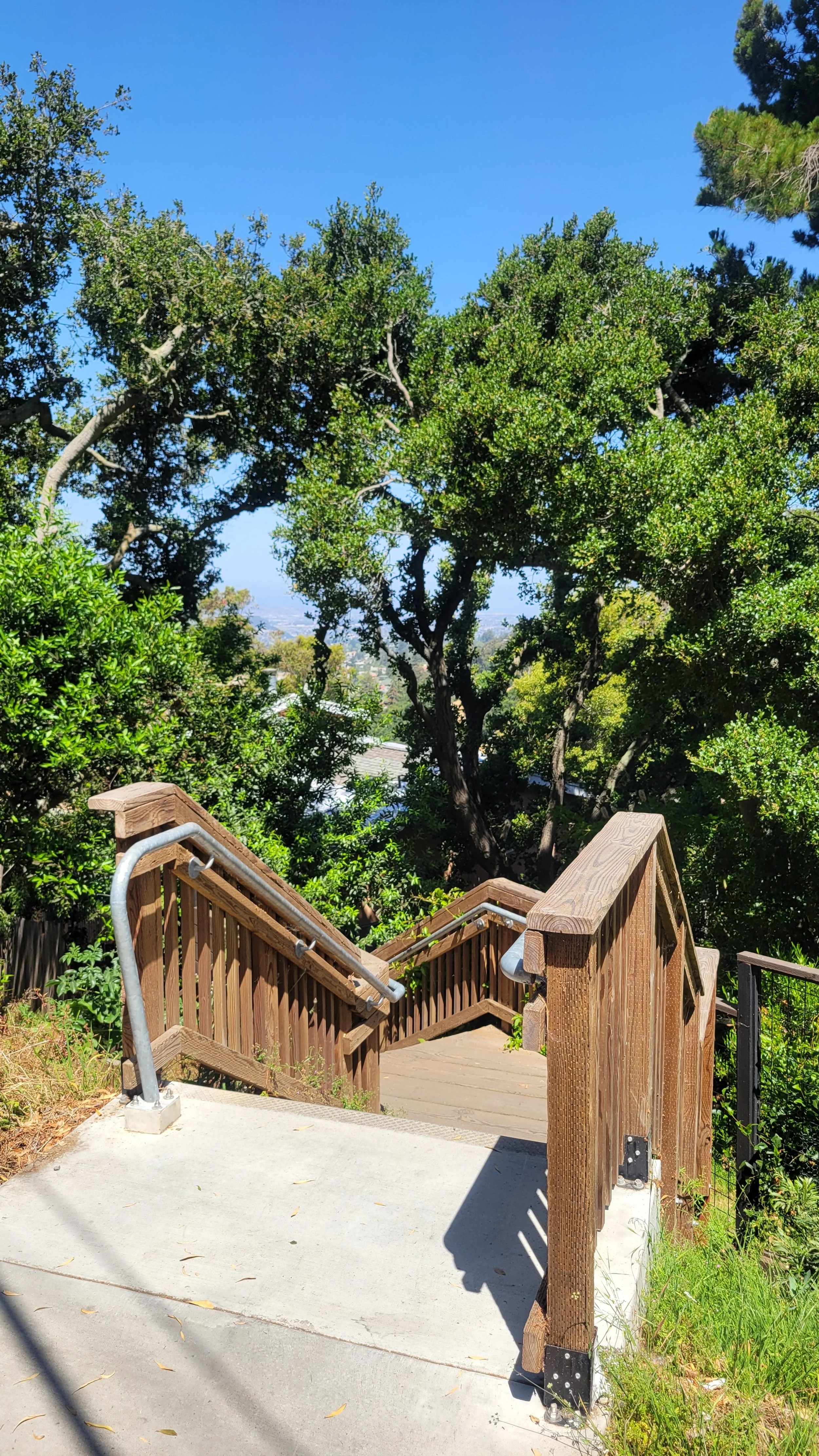 Arden Path 4.jpg