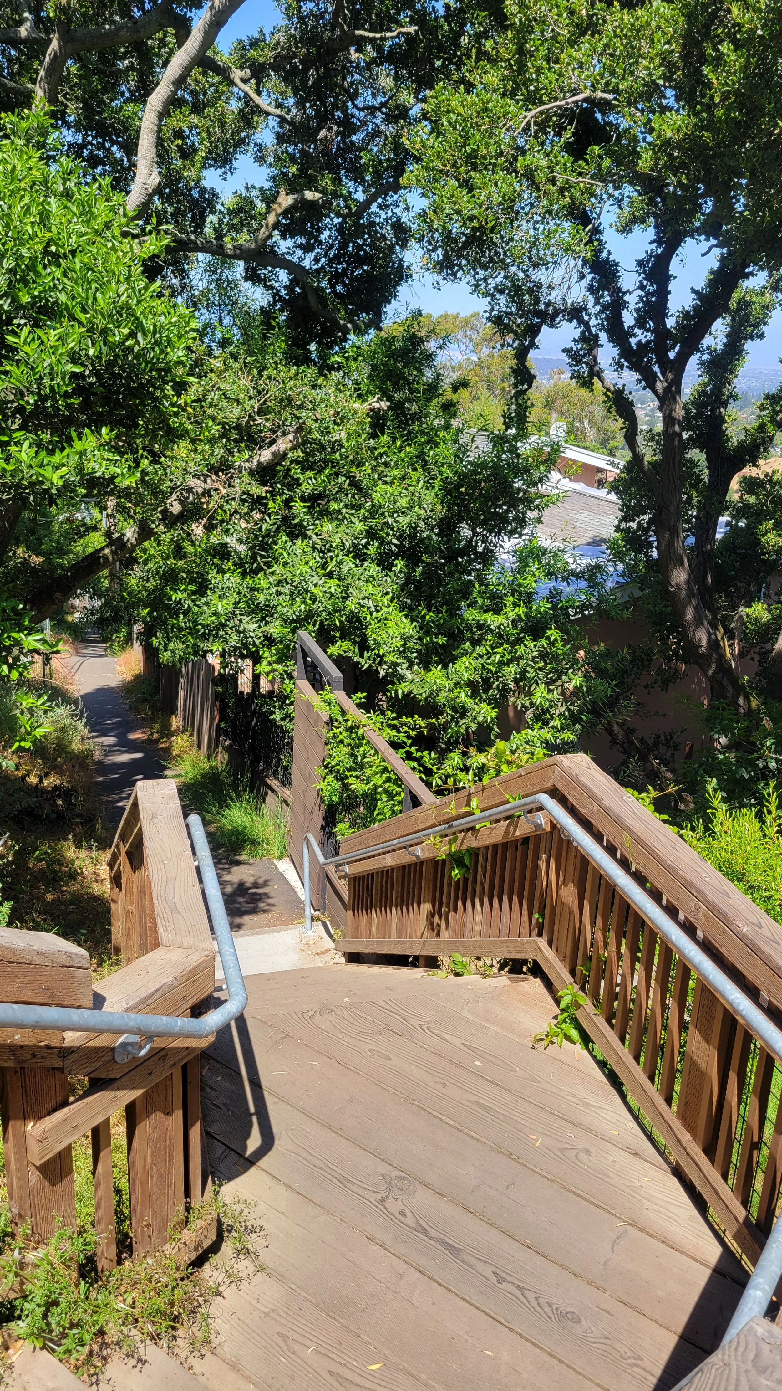 Arden Path 5.jpg