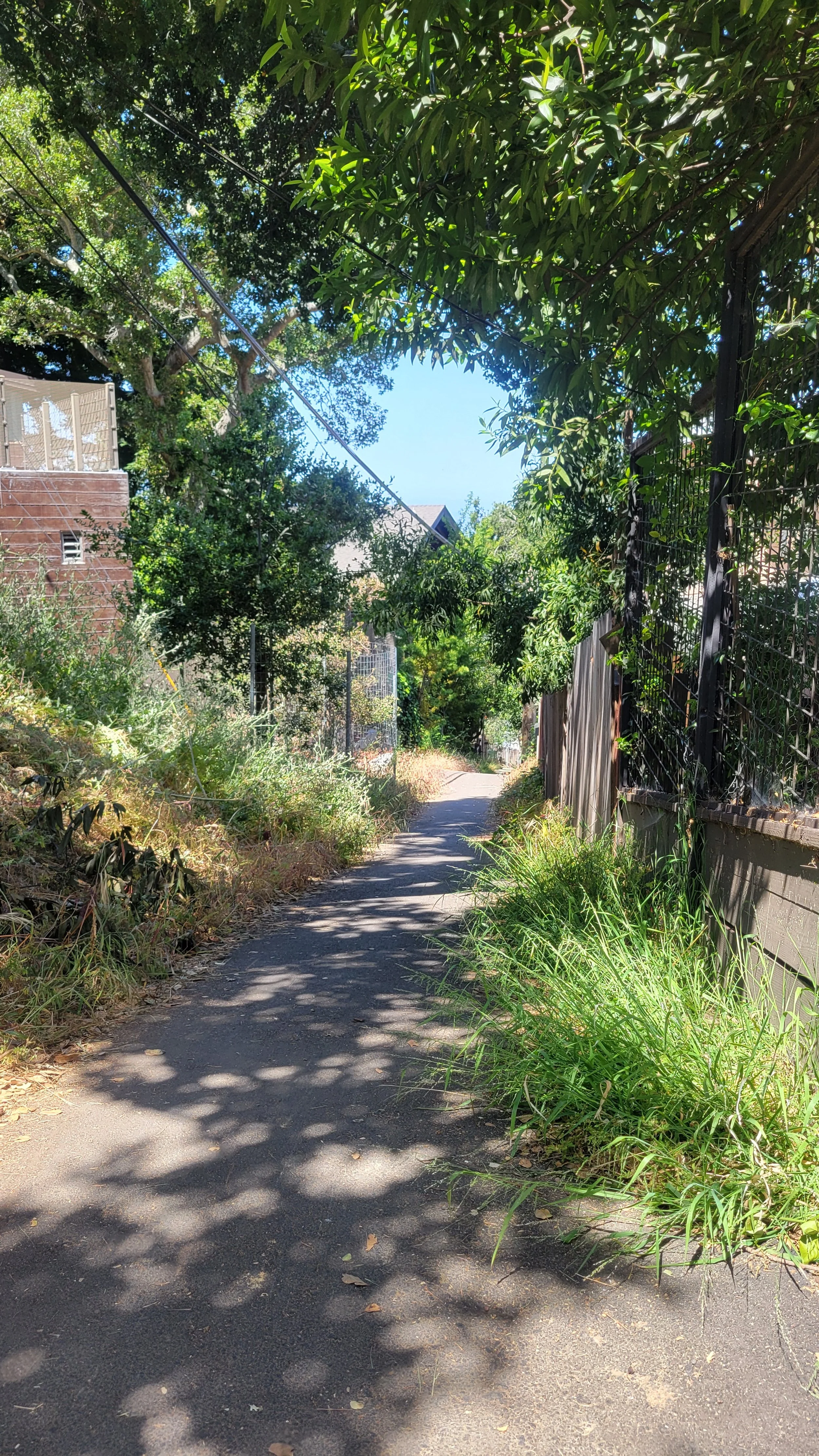 Arden Path 6.jpg
