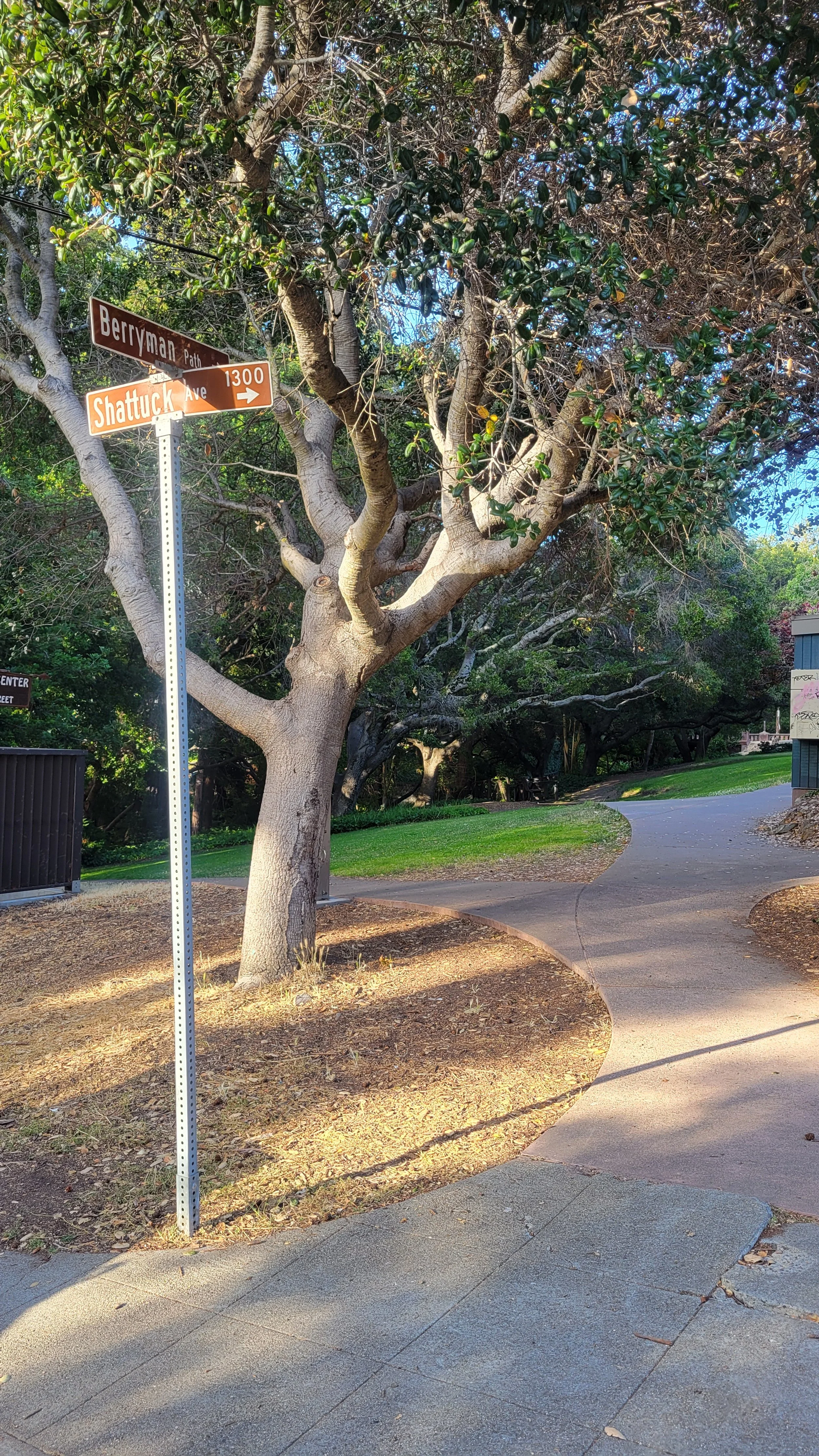 Berryman Path Lower 2.jpg