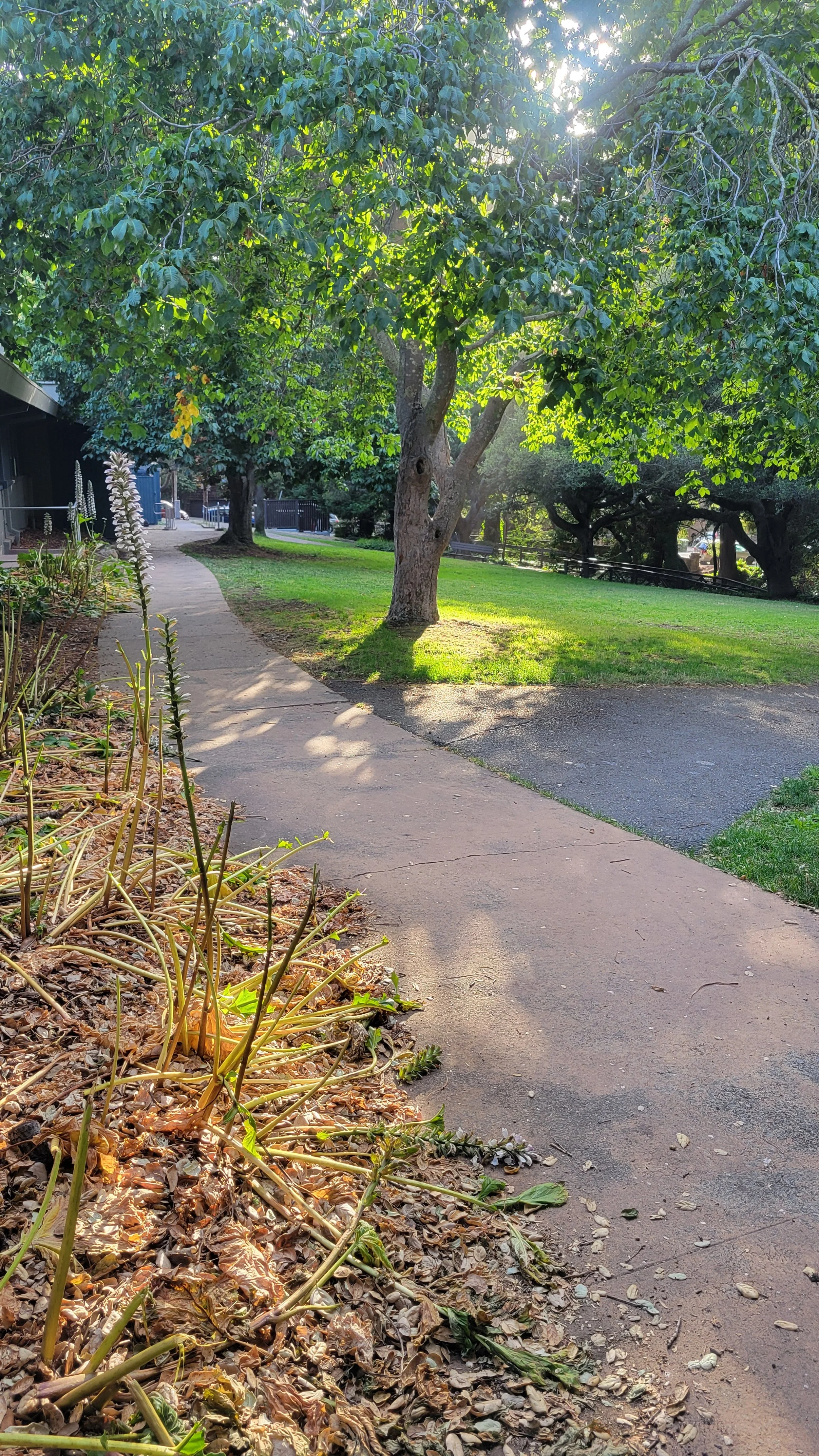 Berryman Path Lower 3.jpg