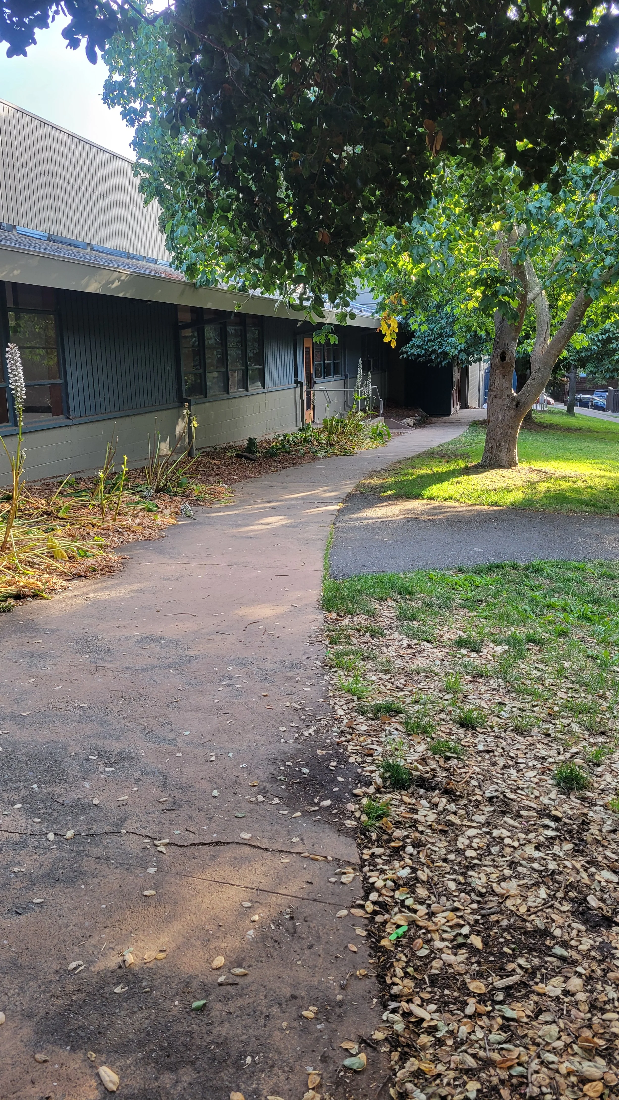 Berryman Path Lower 4.jpg