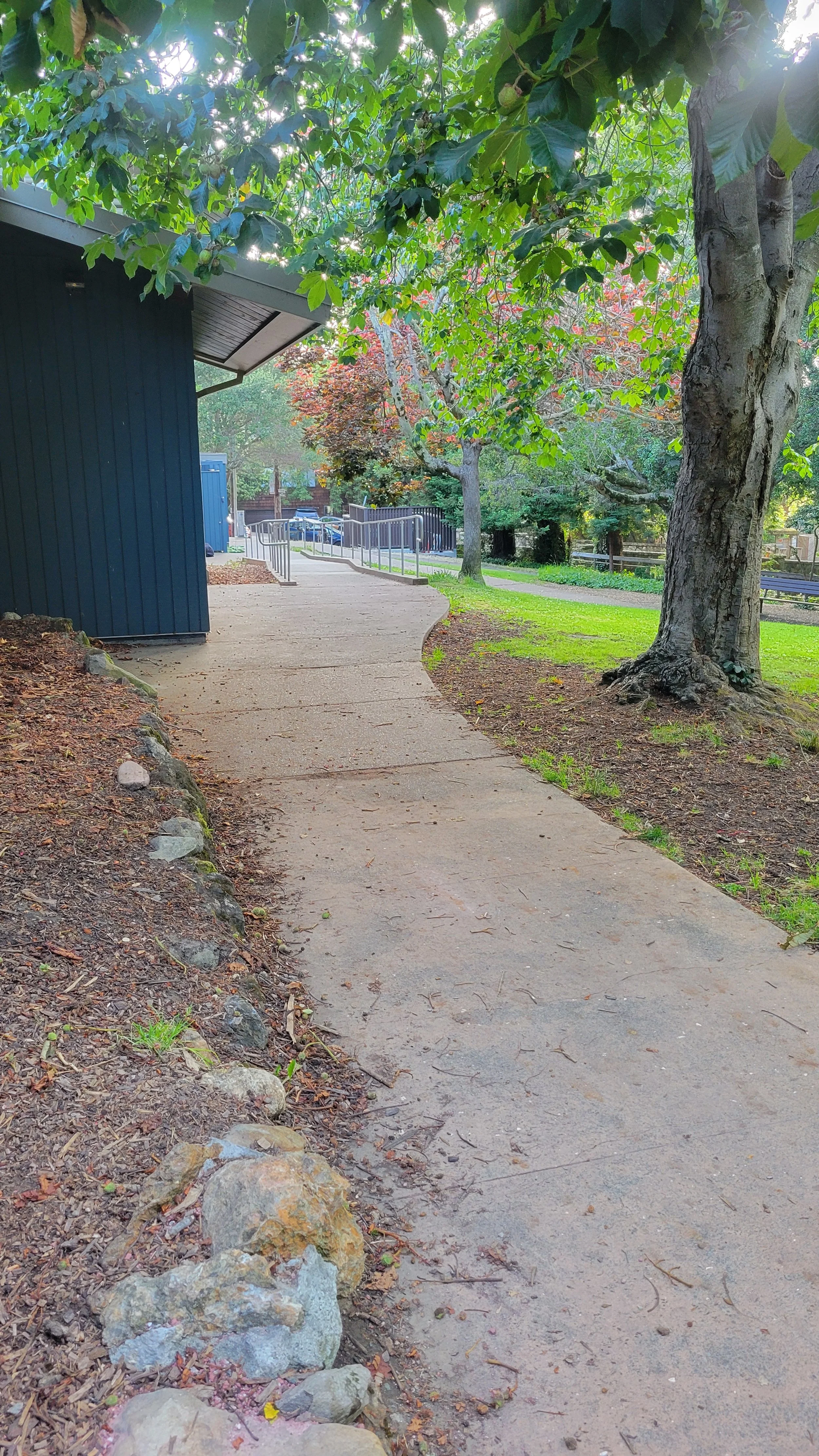 Berryman Path Lower 5.jpg