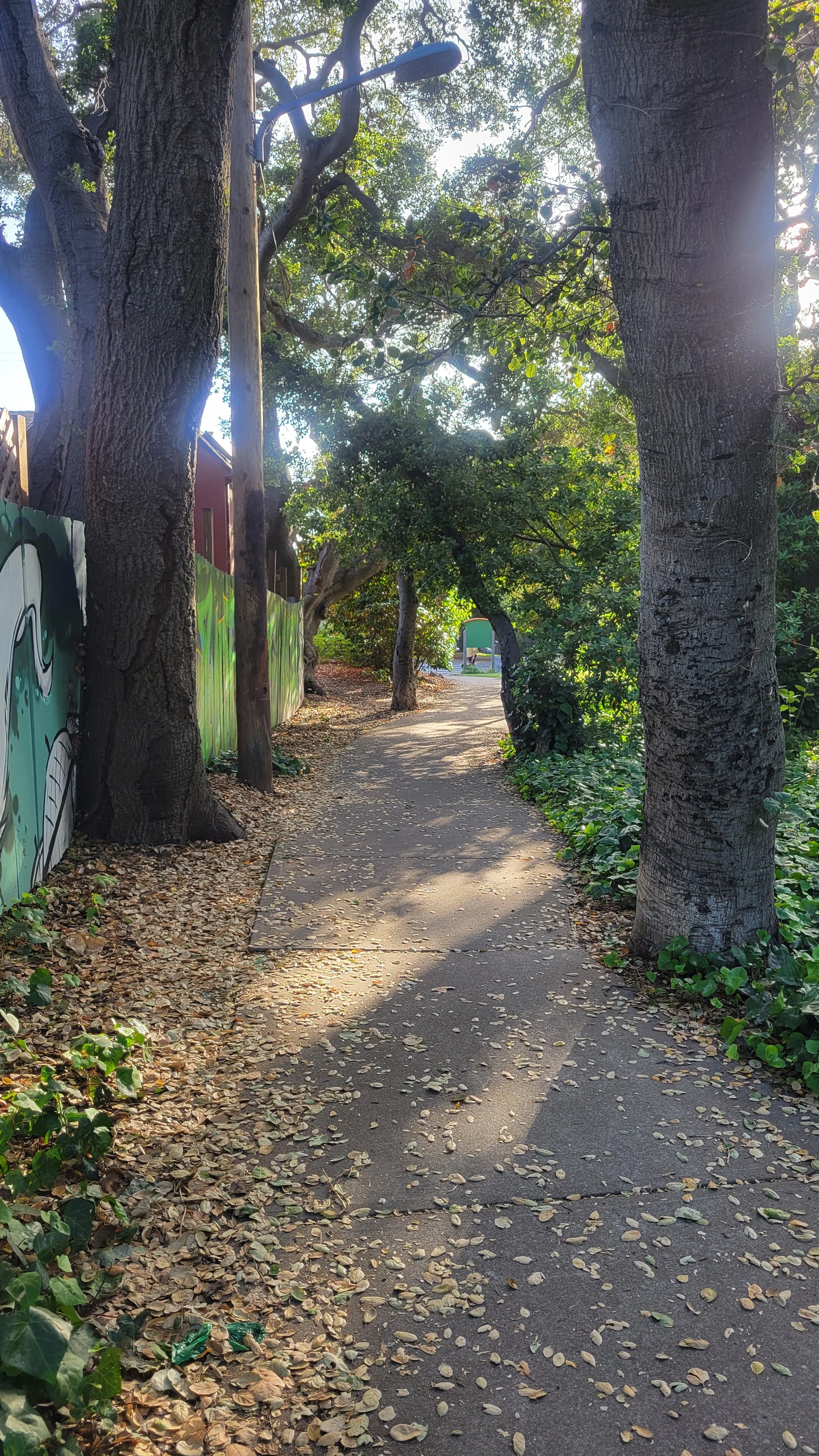 Berryman Path Middle 6.jpg