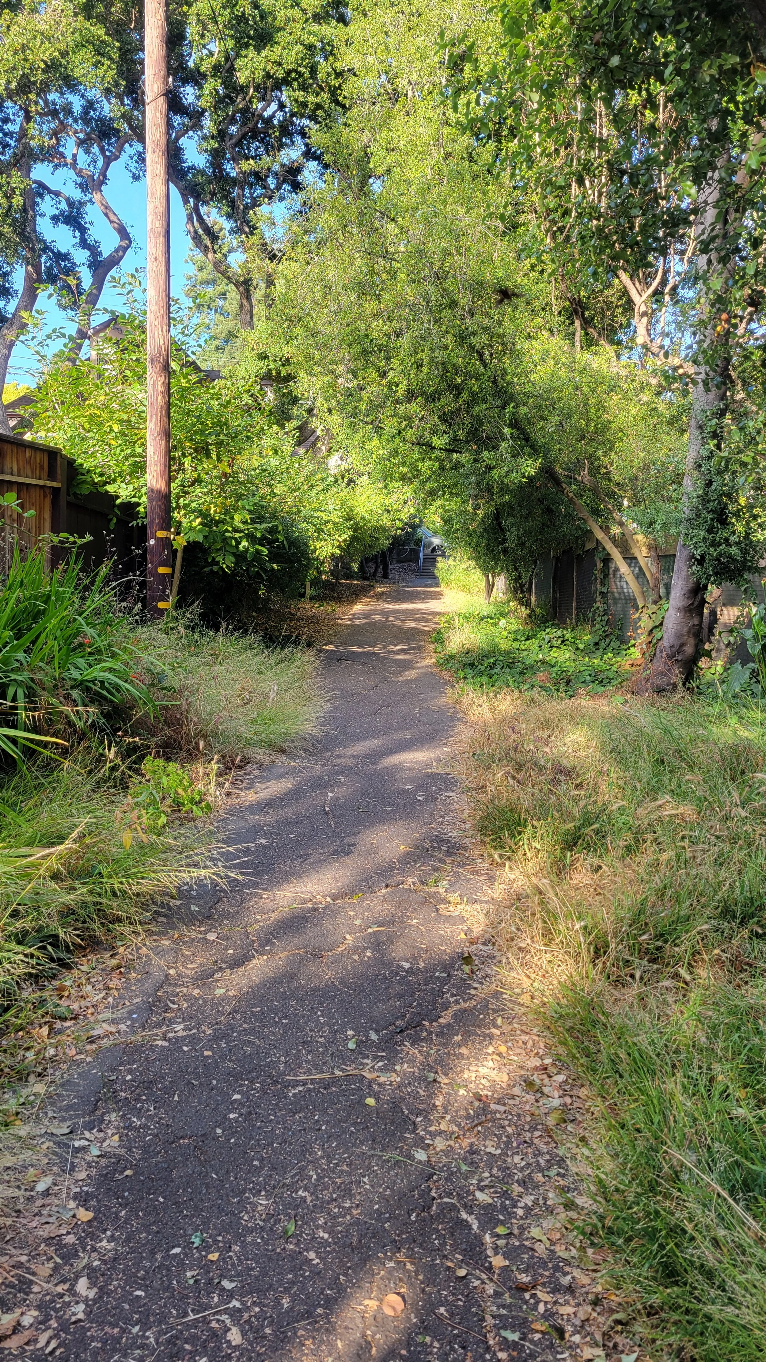 Berryman Path Upper 5.jpg