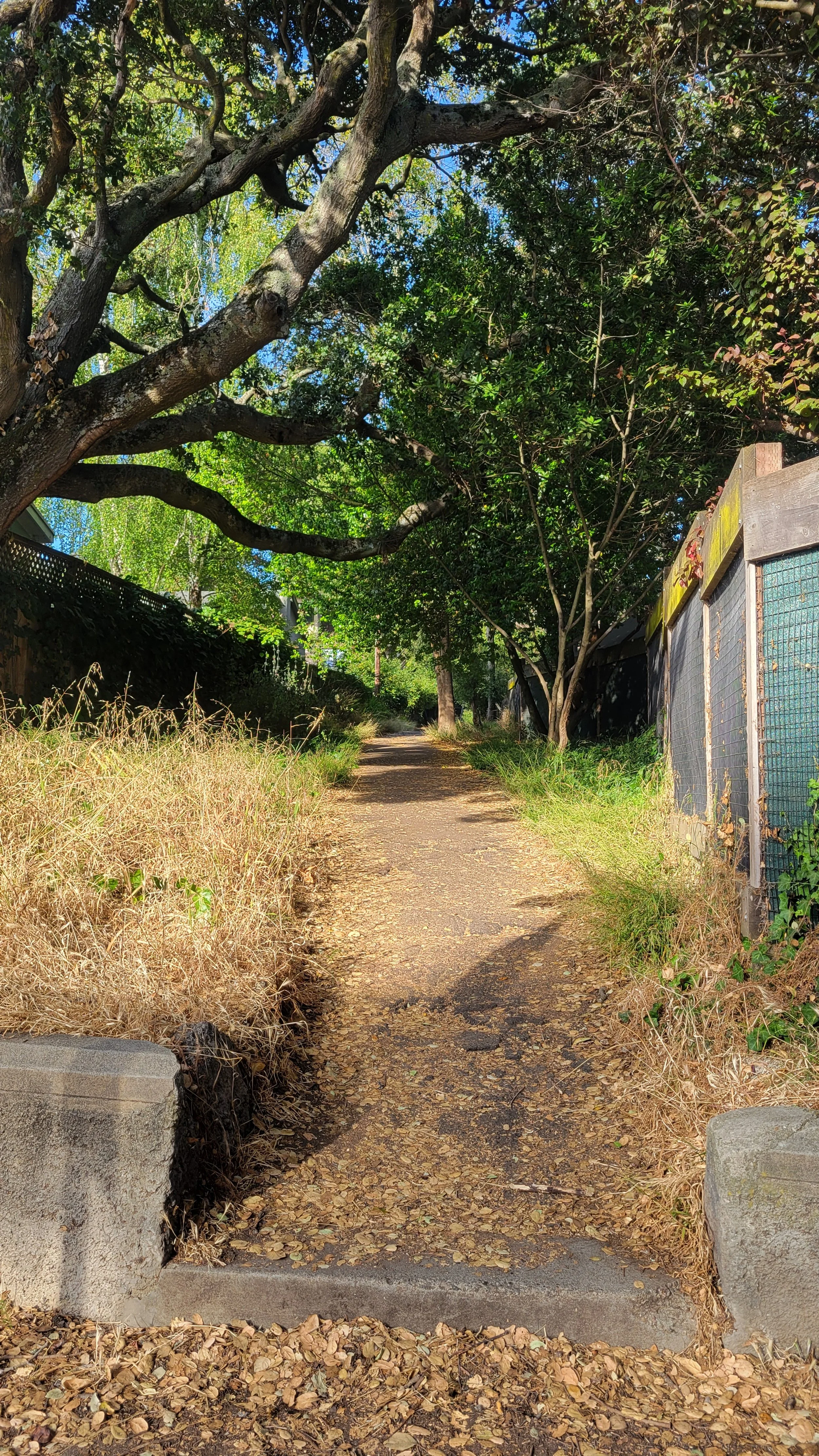 Berryman Path Upper 6.jpg