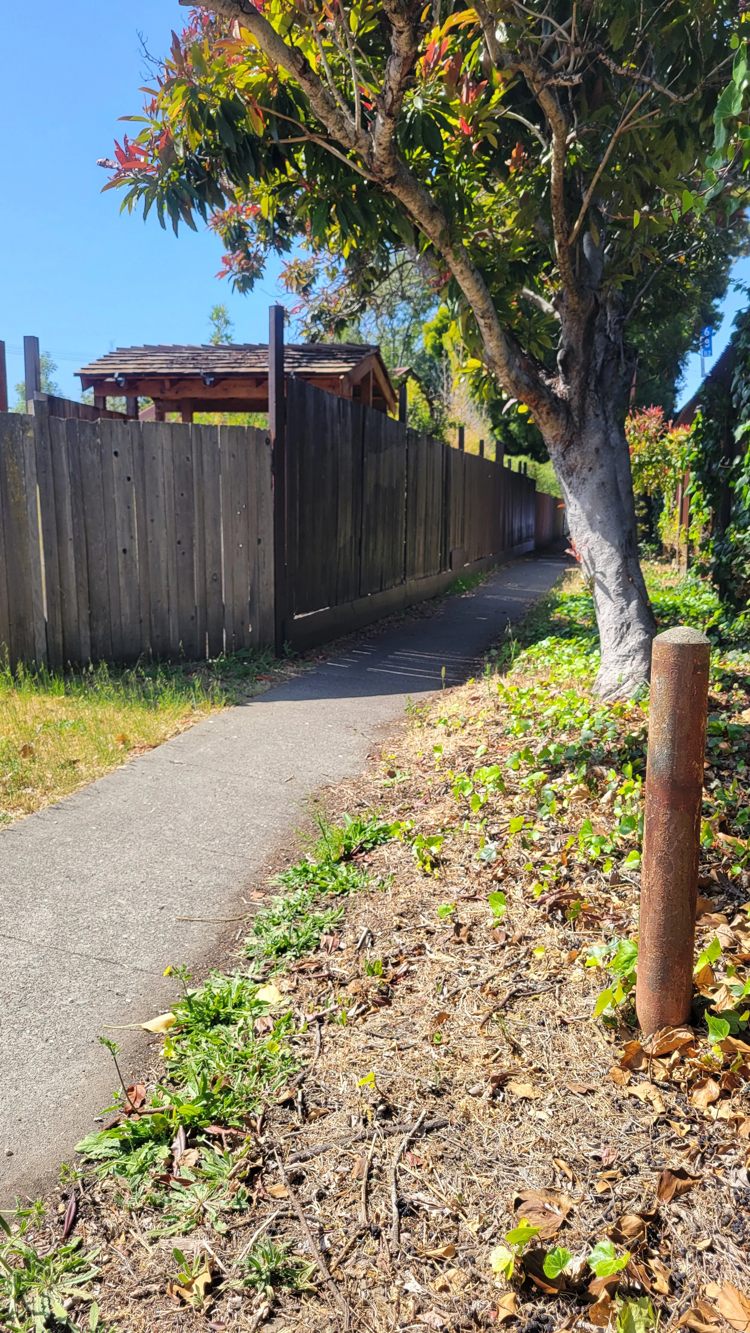 Path Conditions Geneva's Path | Discover Local Trails – Join the Movement — Berkeley ...