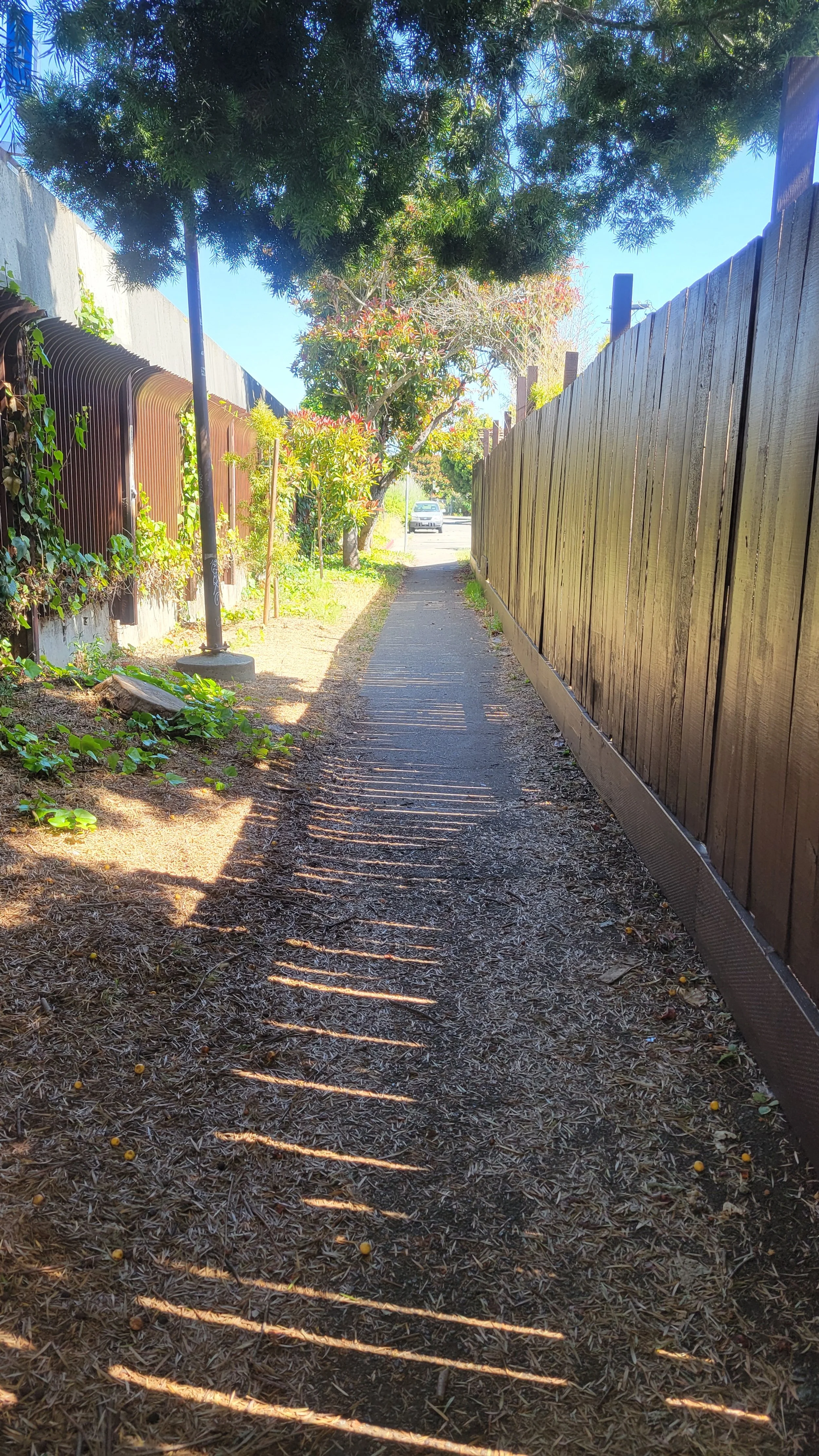 Path Conditions Geneva's Path | Discover Local Trails – Join the Movement — Berkeley ...