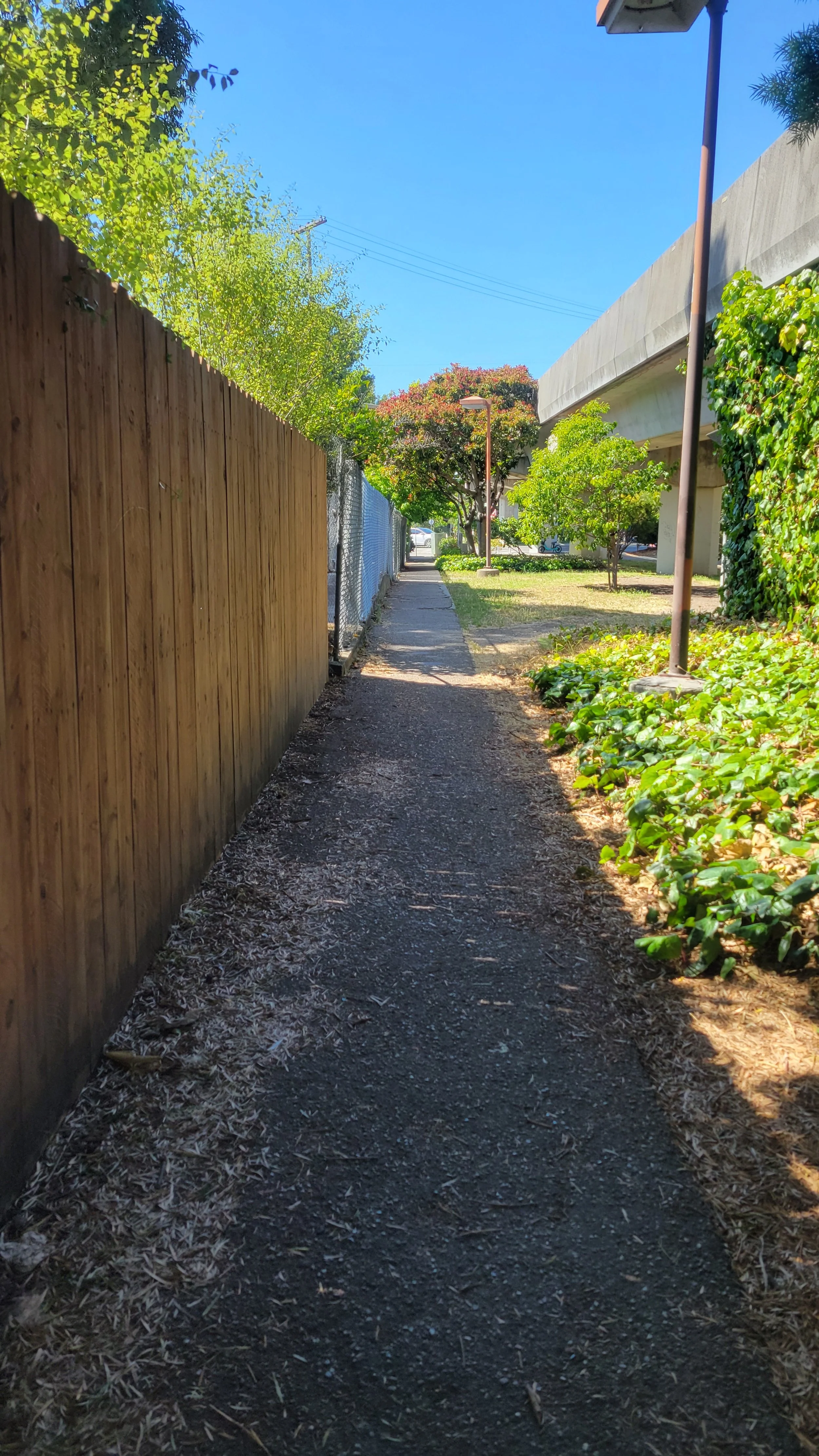 Geneva's Path 4.jpg