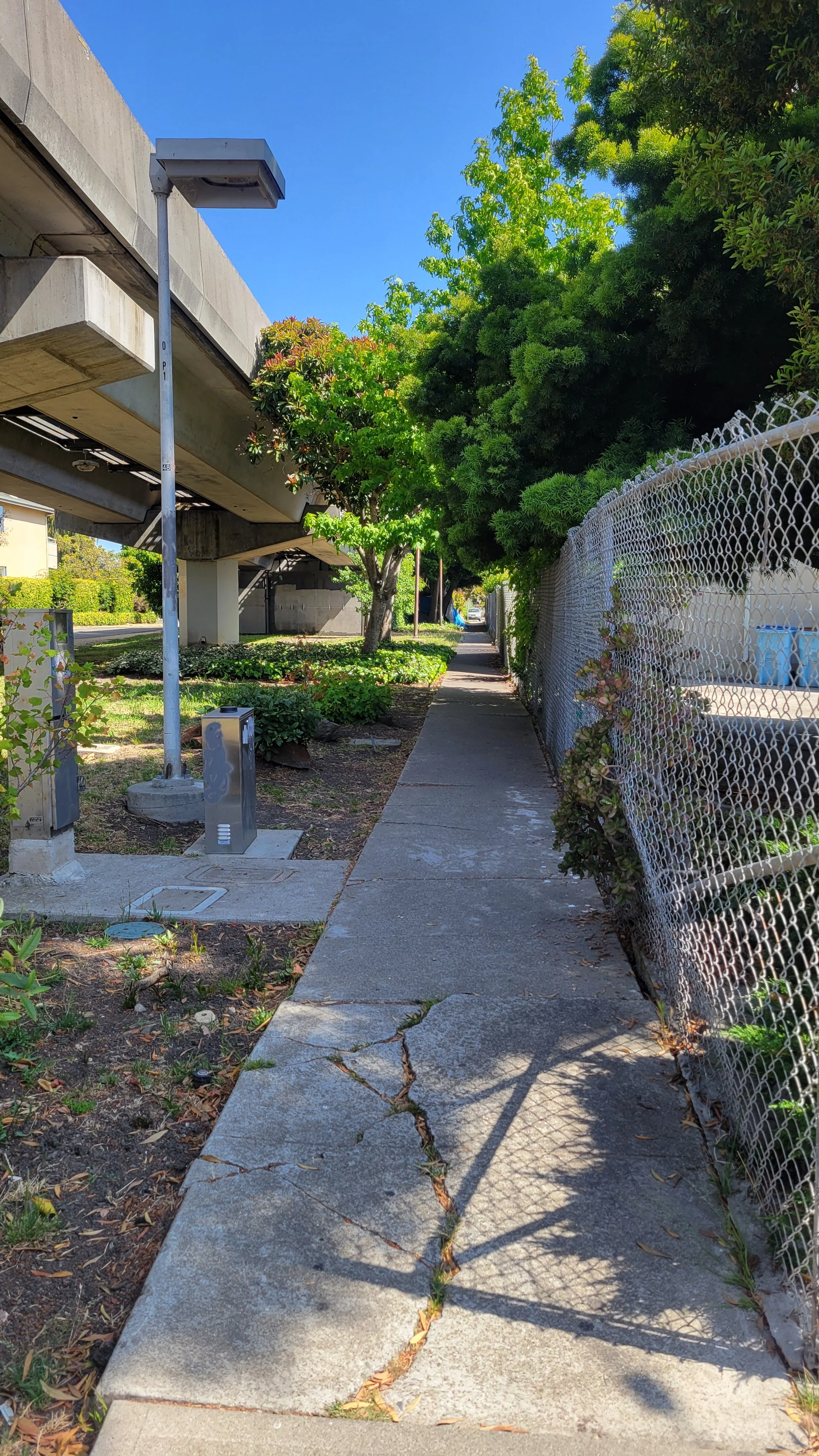 Geneva's Path 7.jpg