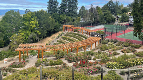 Pop-up Walk From Rose Garden To Lake Anza