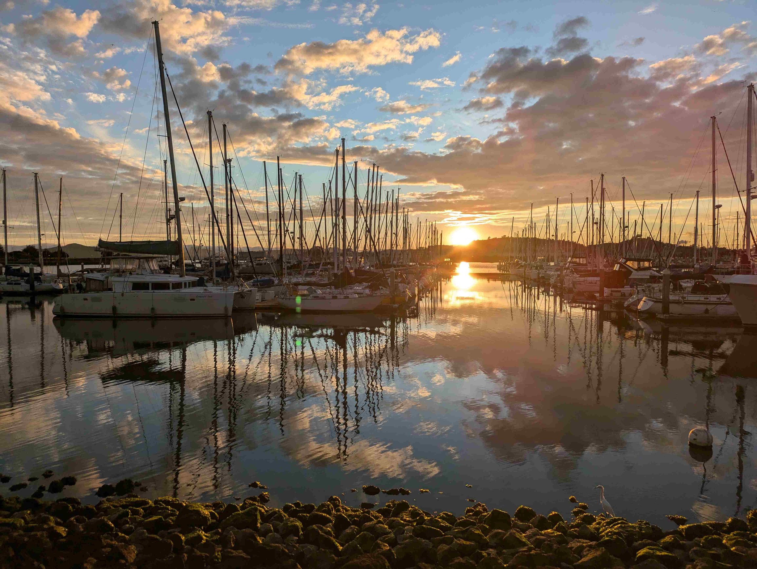 Evening Walk at the Richmond Marina