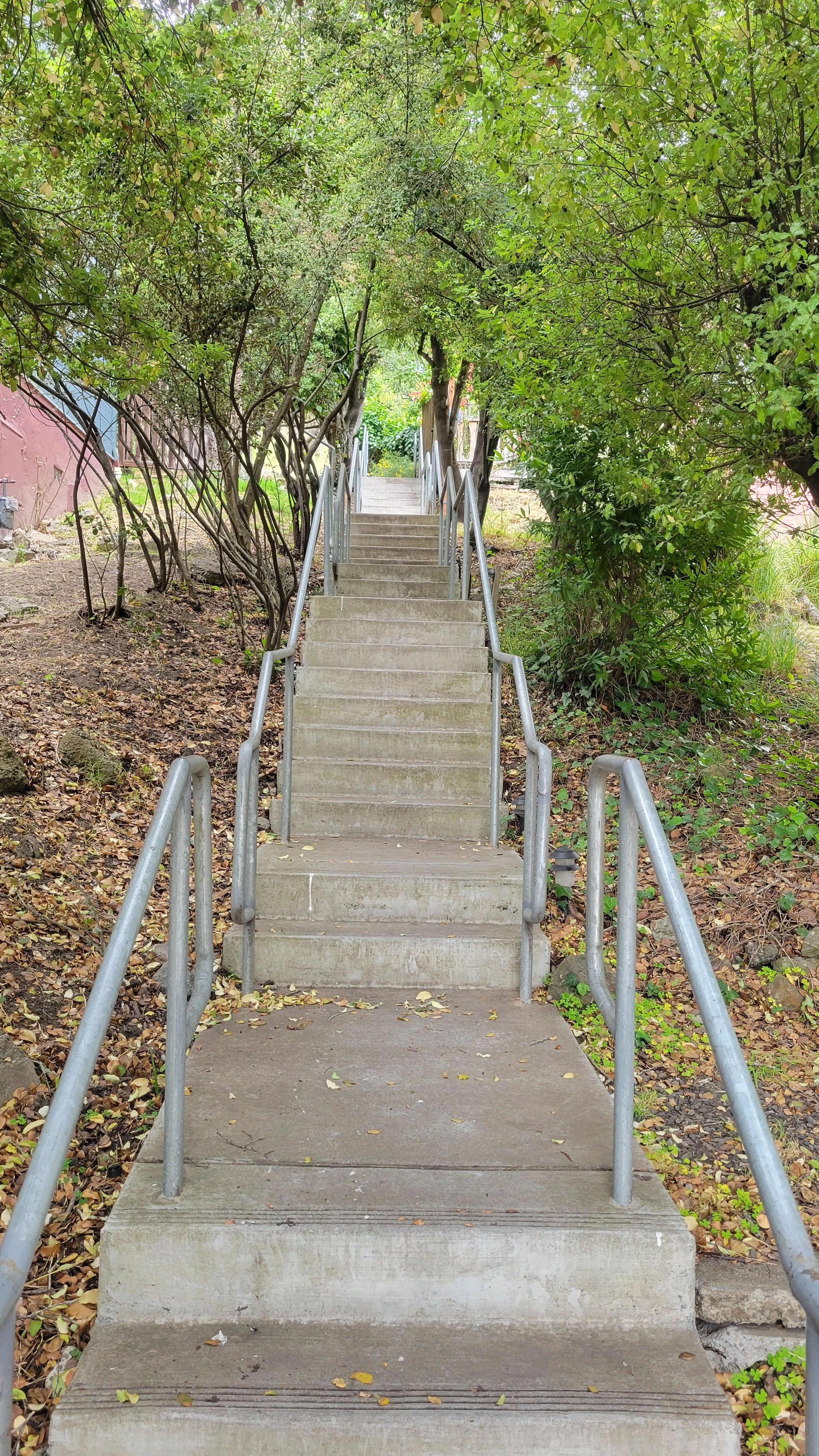 Bret Harte Path 2.jpg