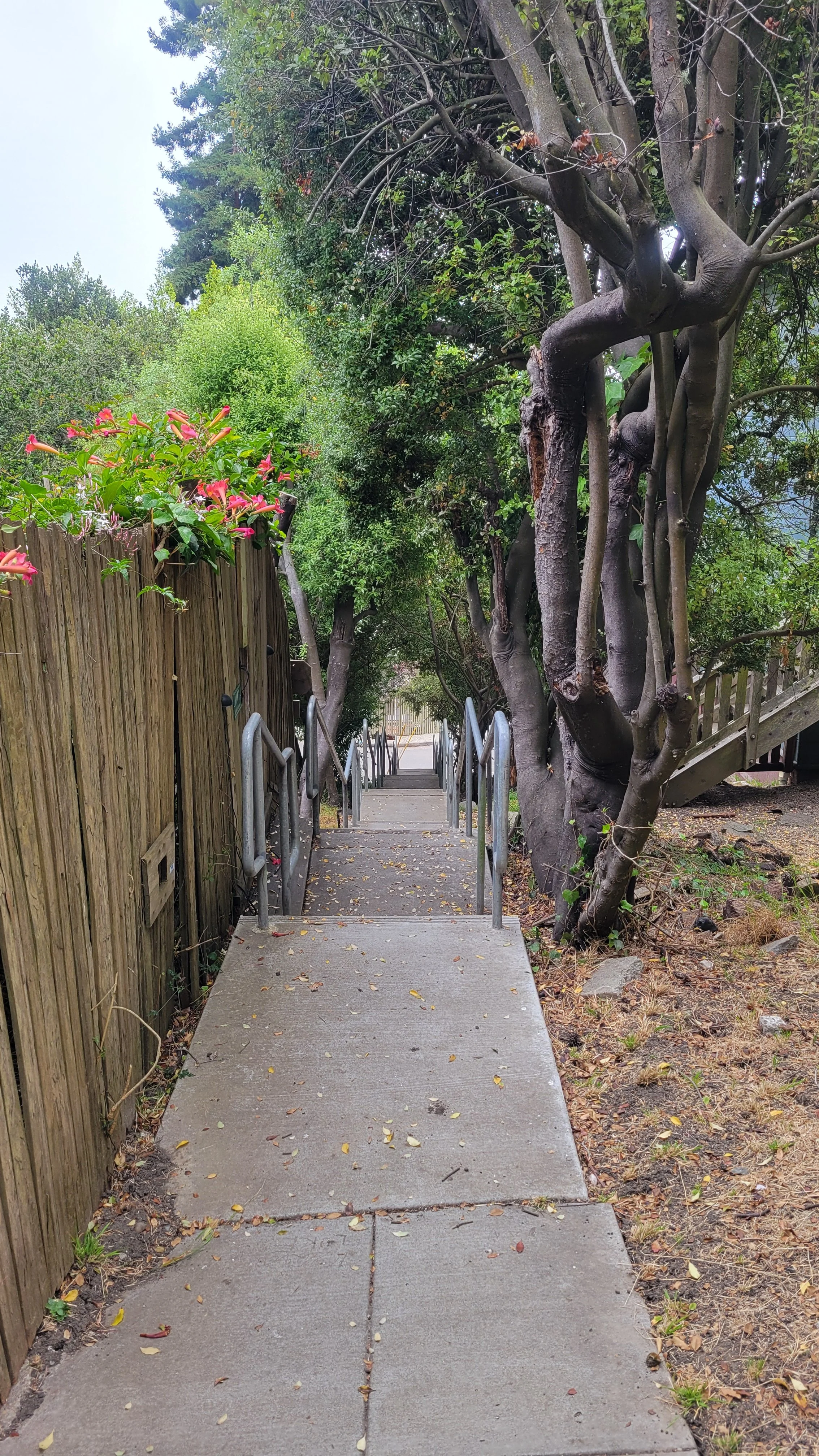 Bret Harte Path 3.jpg