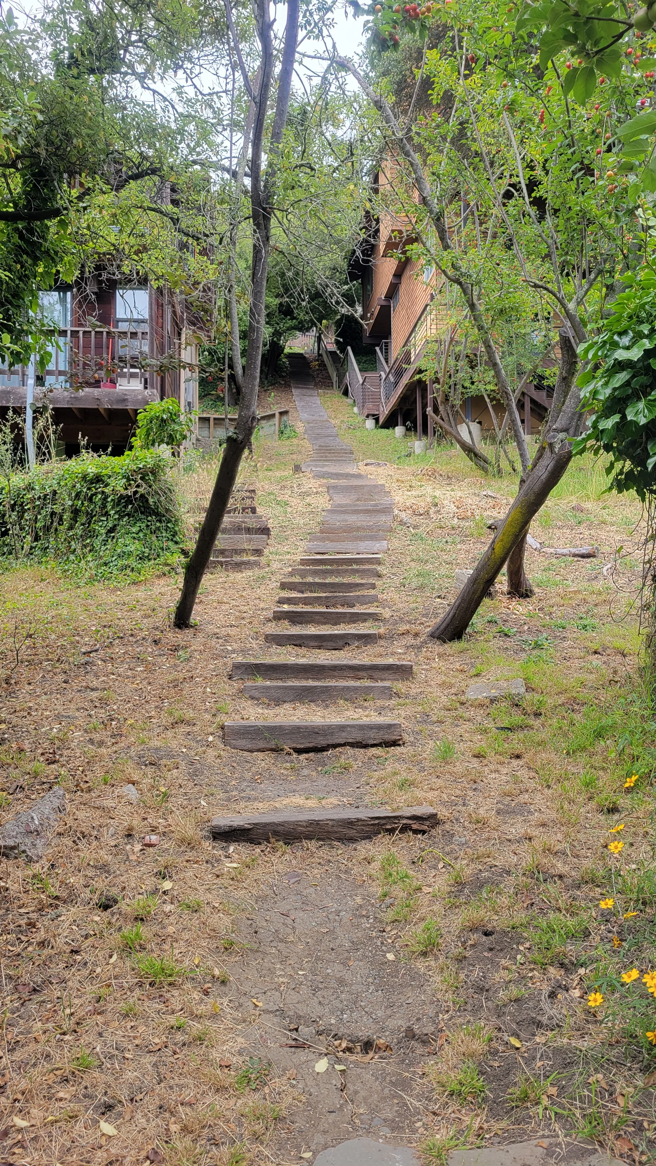 Bret Harte Path 4.jpg