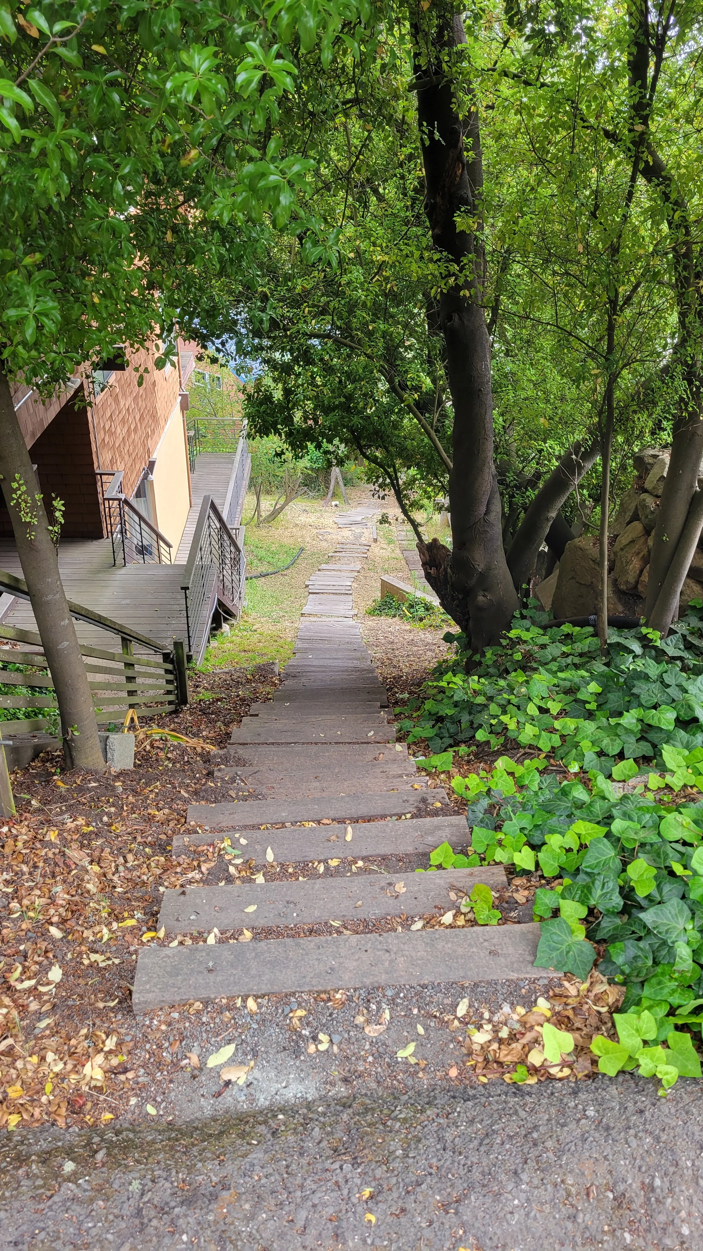 Bret Harte Path 5.jpg