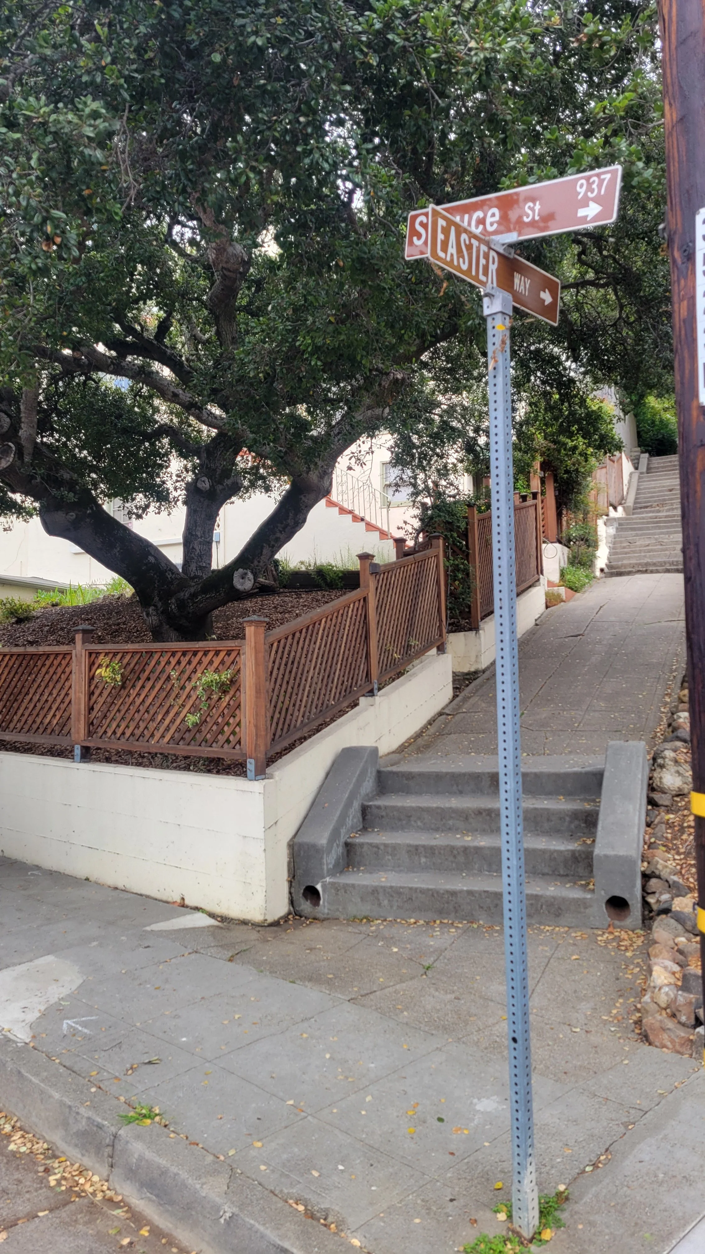 Easter Way Lower 1.jpg