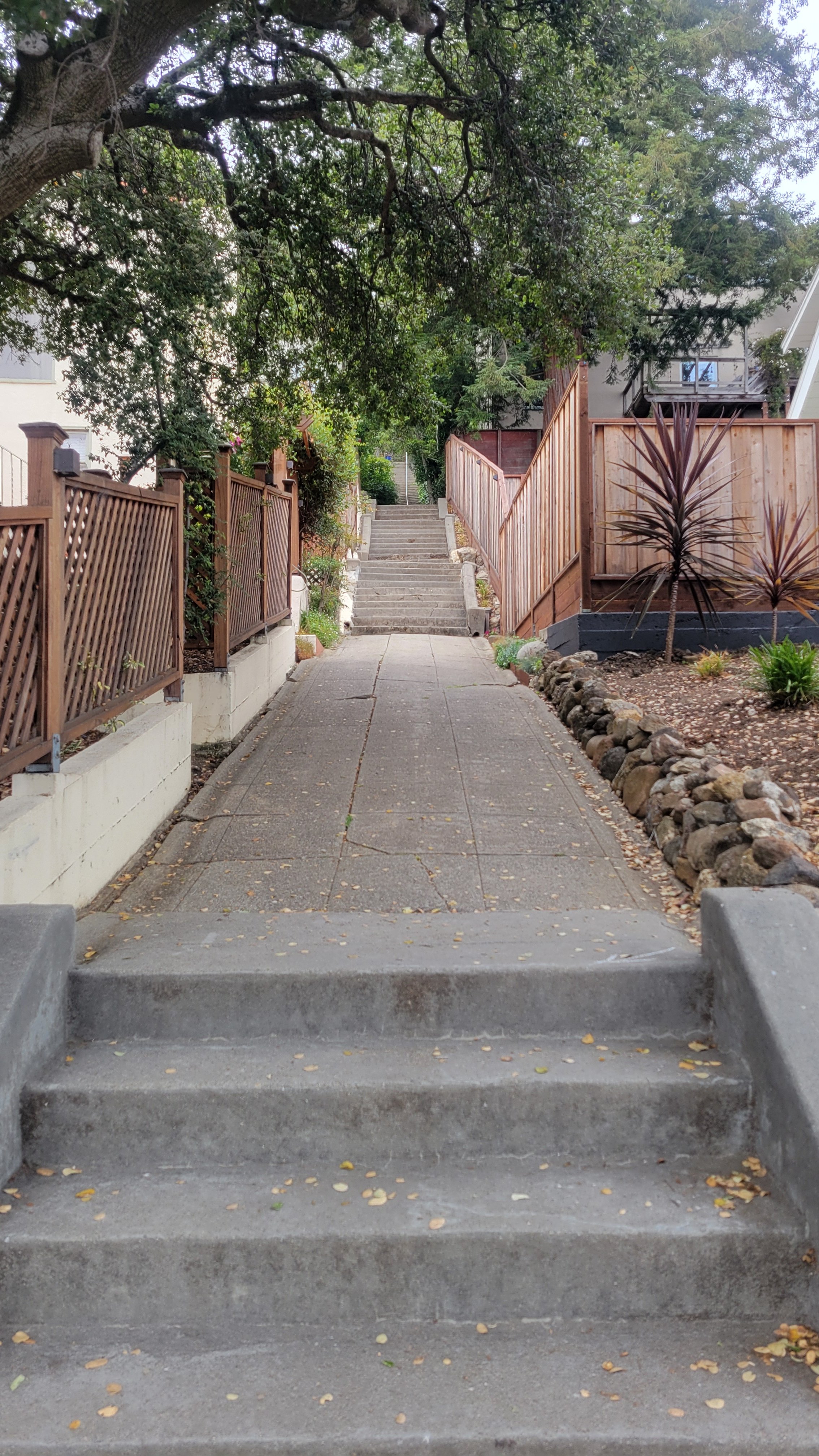 Easter Way Lower 2.jpg