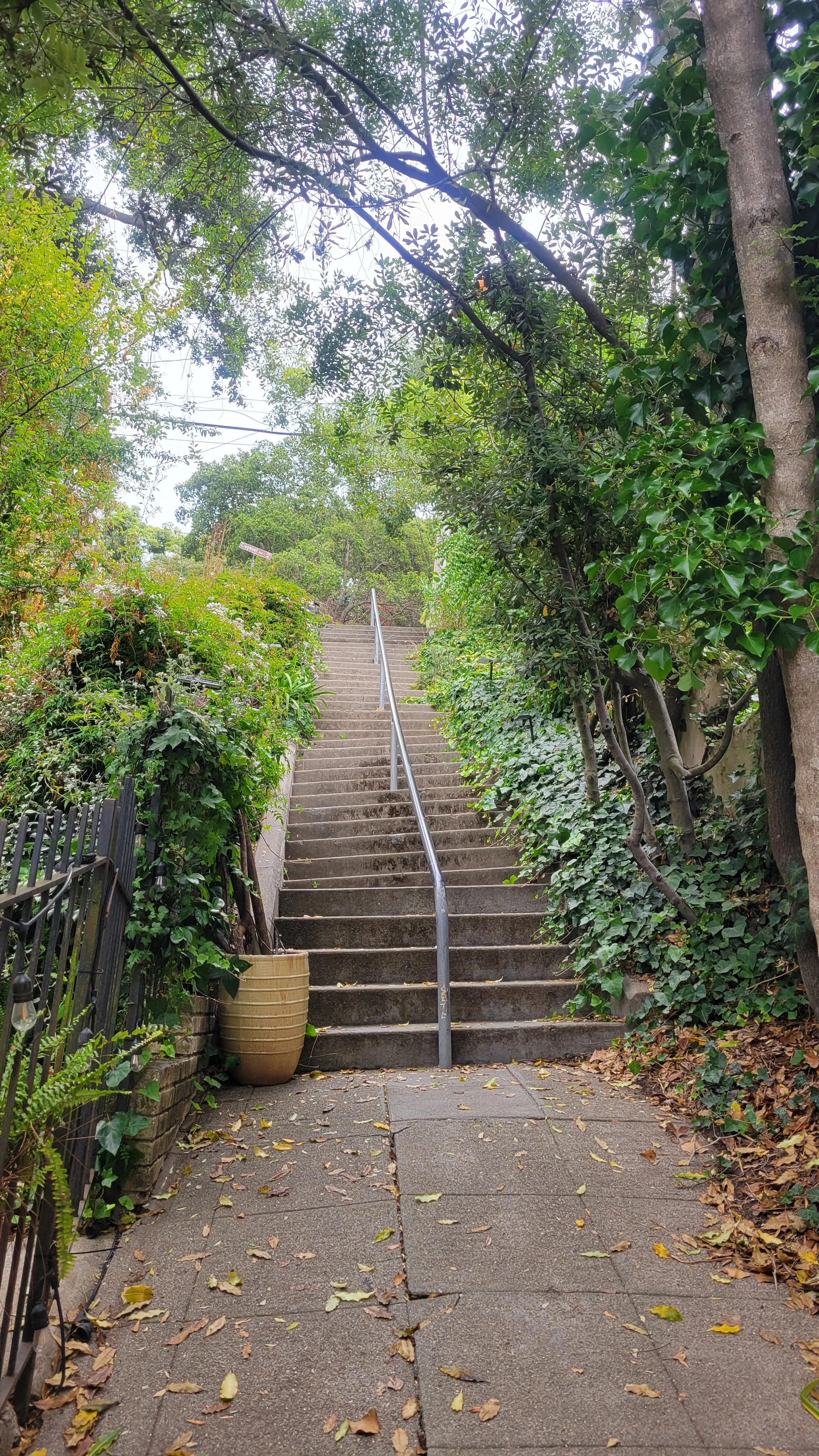 Easter Way Lower 4.jpg