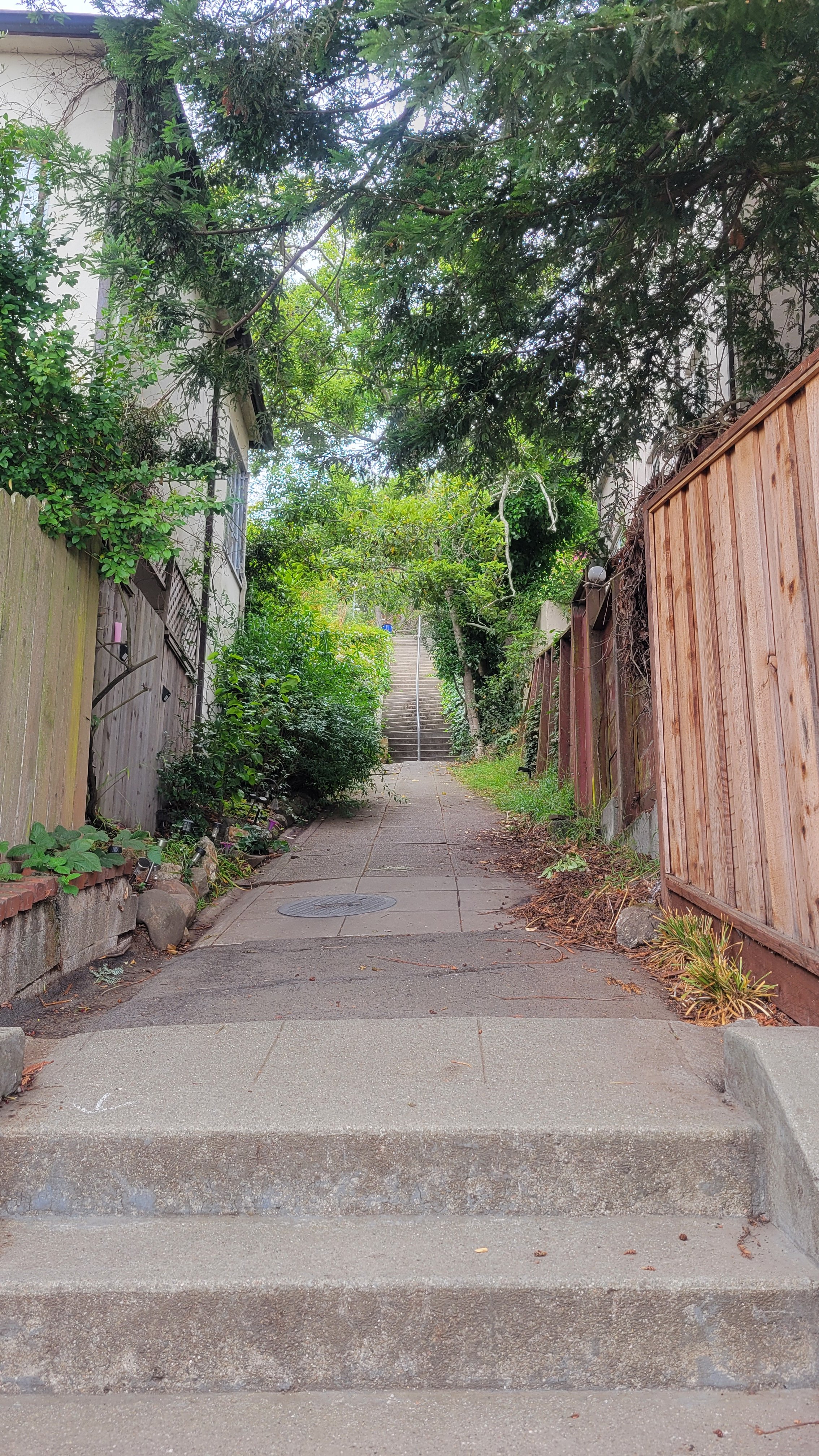 Easter Way Lower 3.jpg