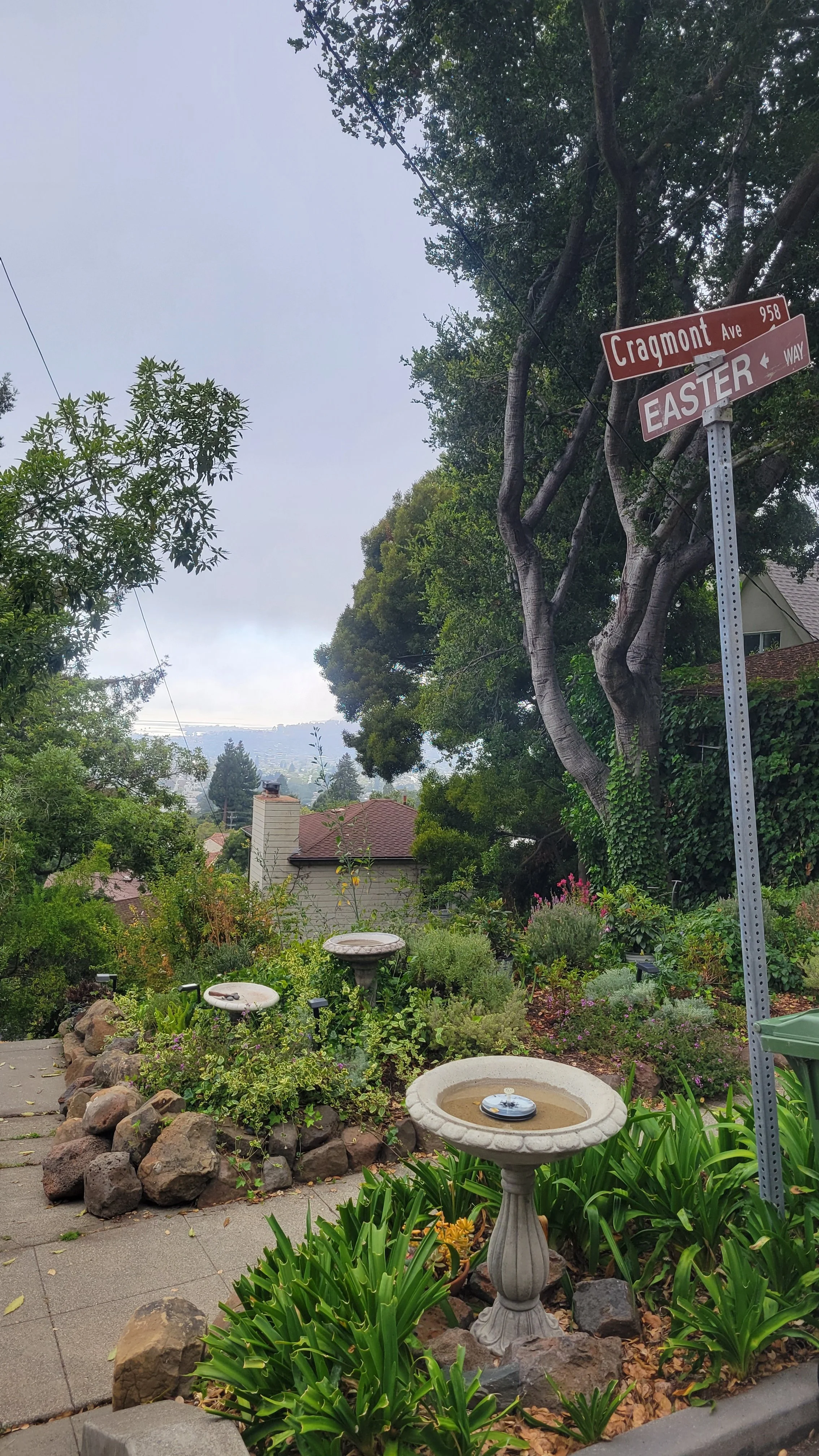 Easter Way Lower 5.jpg