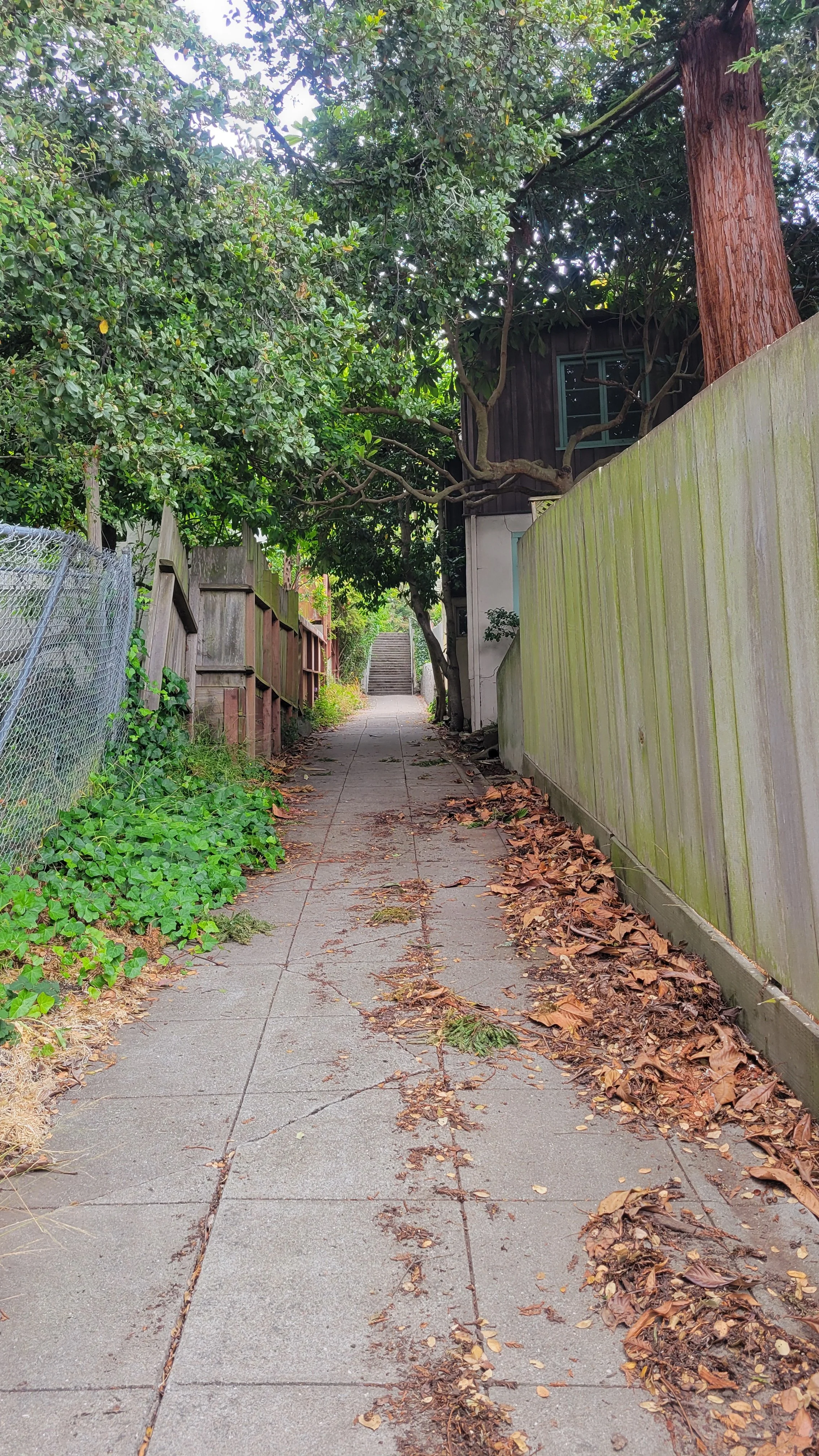 Easter Way Middle 3.jpg